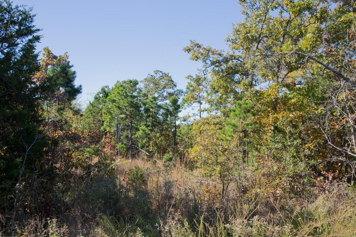 Stone Creek Phase I Tract 174 photo 11