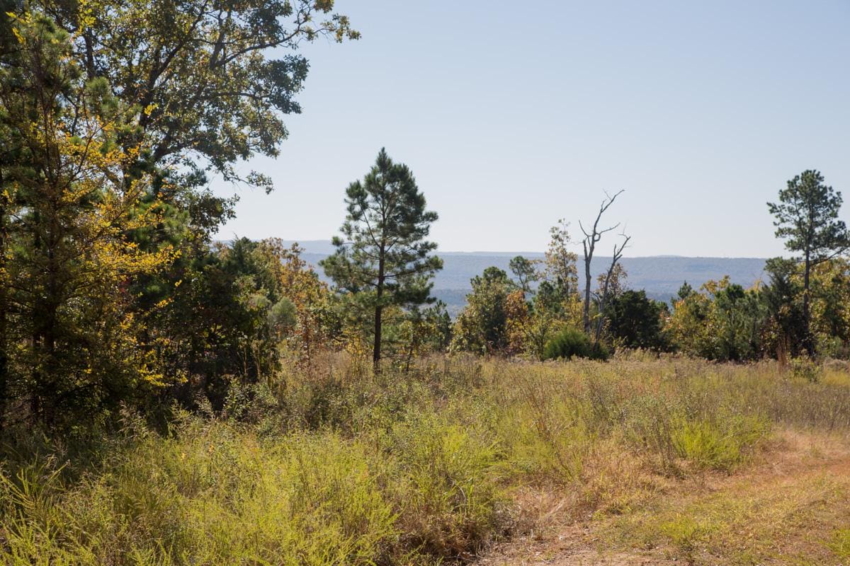 Stone Creek Phase I Tract 174 photo 12