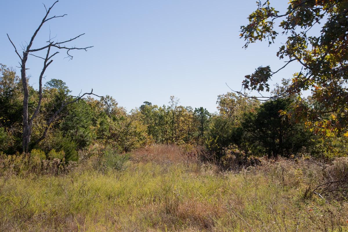 Stone Creek Phase I Tract 174 photo 13