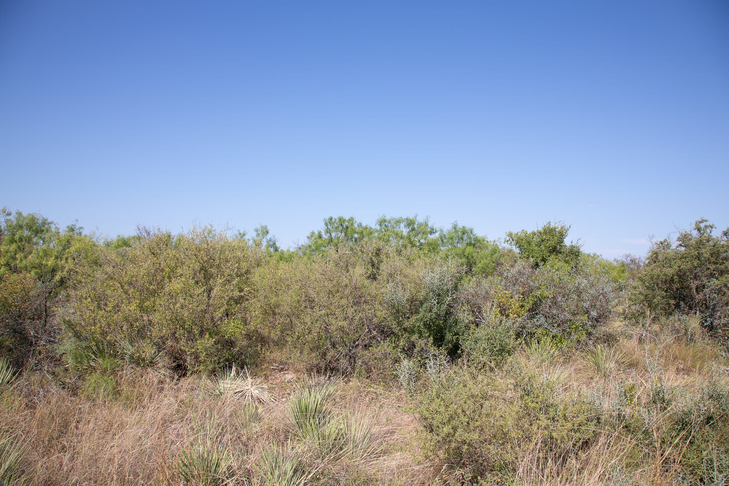 Hunter’s Ranch Tract 13 photo 5
