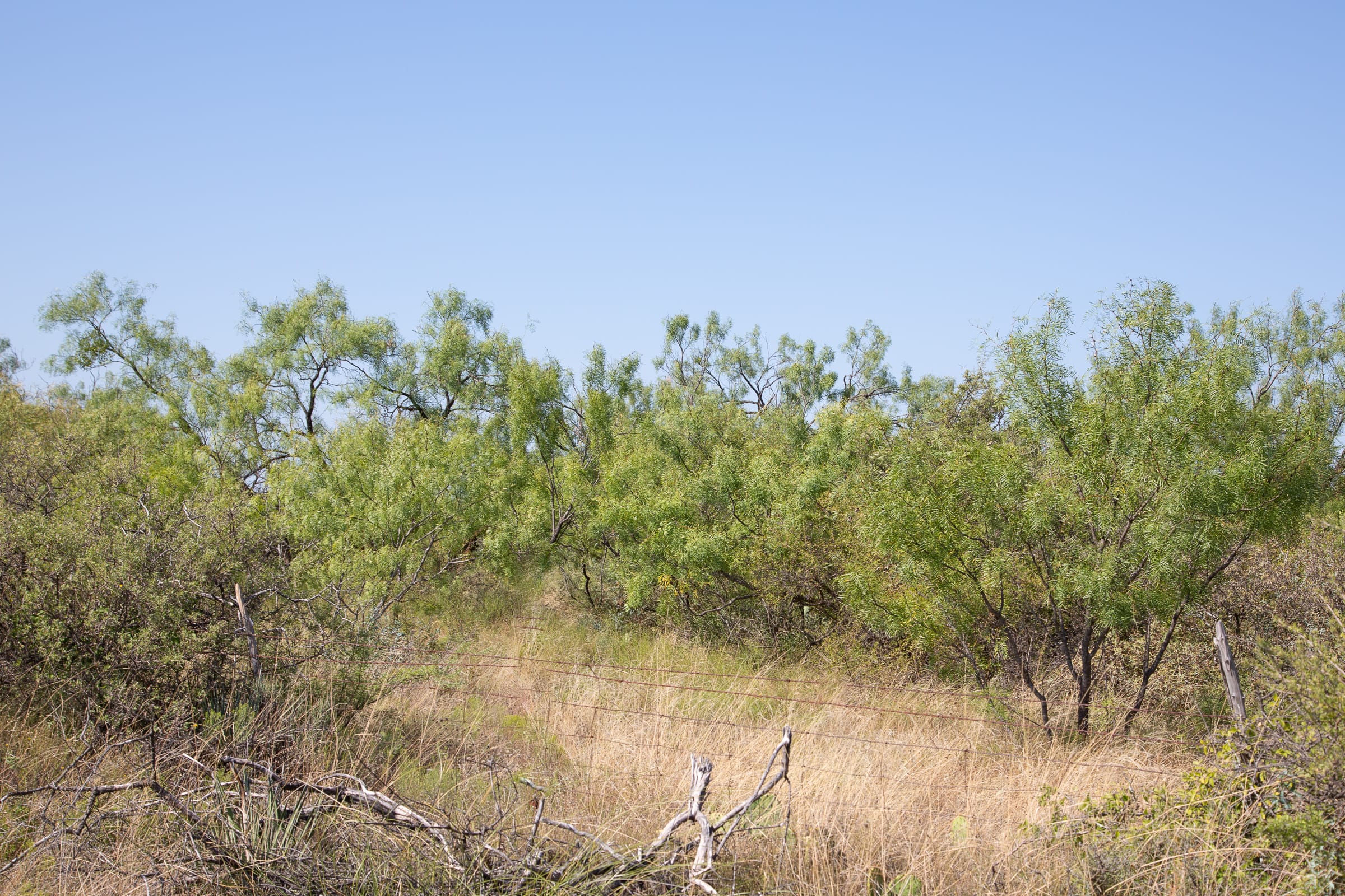 Hunter’s Ranch Tract 13 photo 6