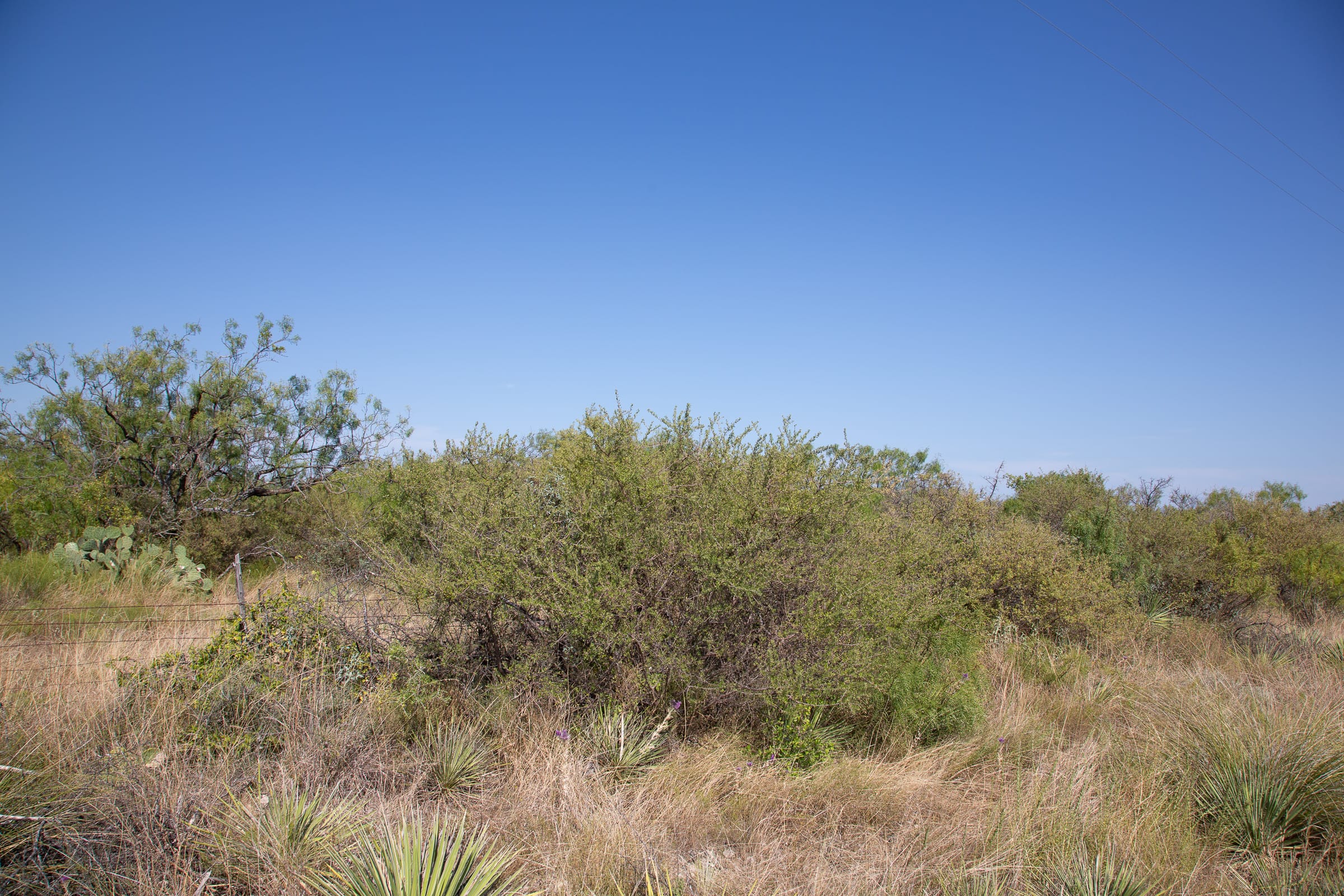 Hunter’s Ranch Tract 13 photo 7
