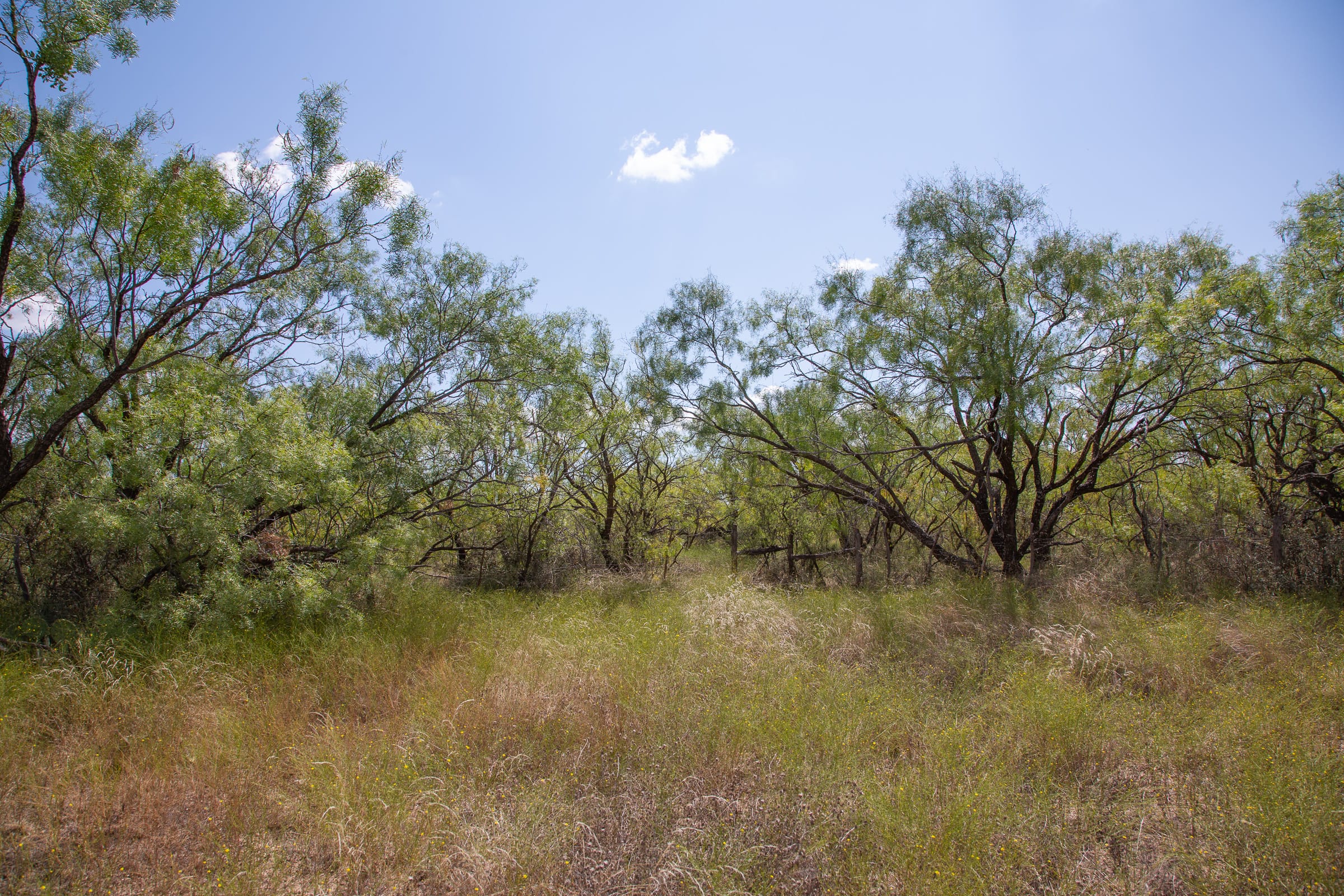 Hunter’s Ranch Tract 13 photo 8