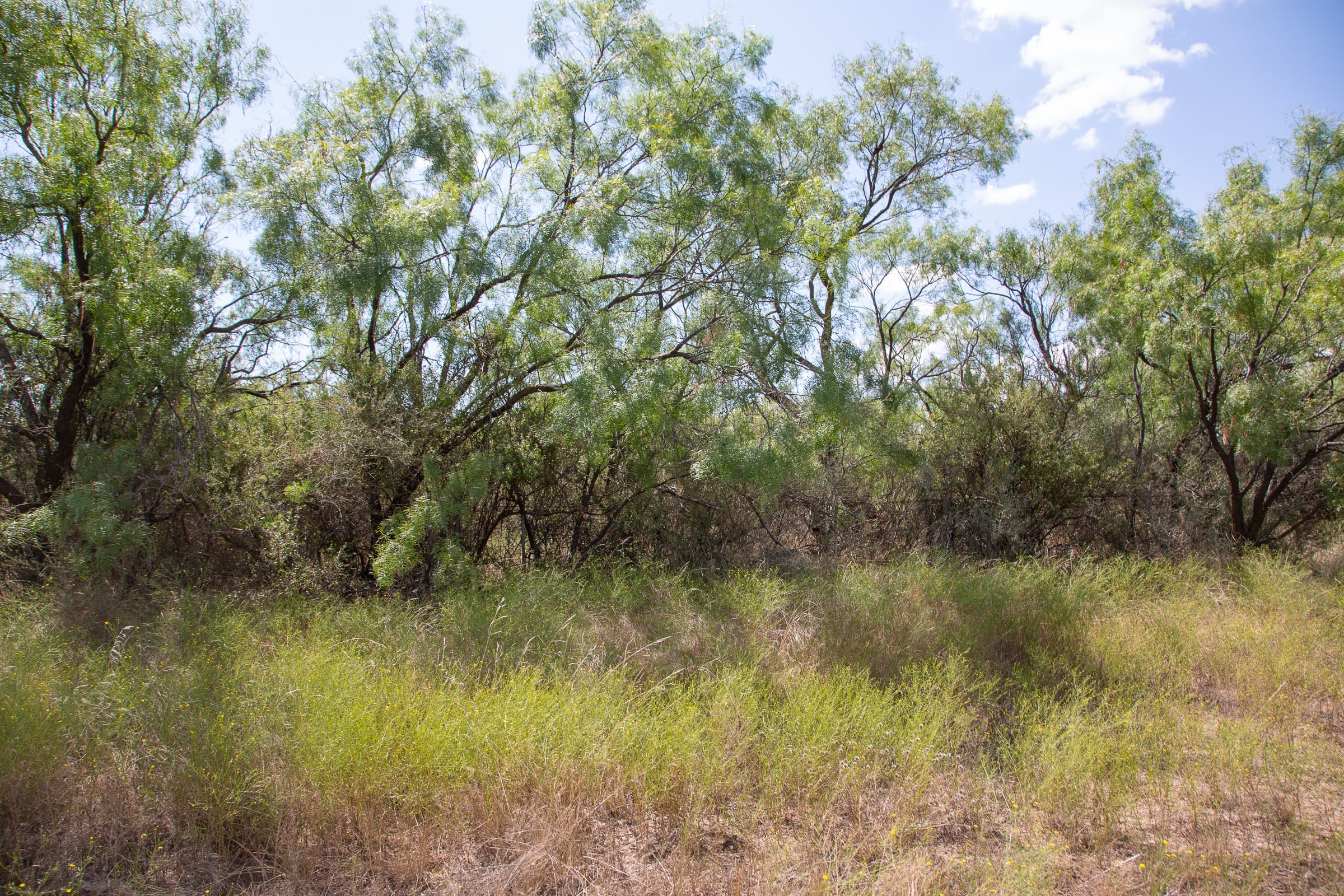 Hunter’s Ranch Tract 13 photo 9