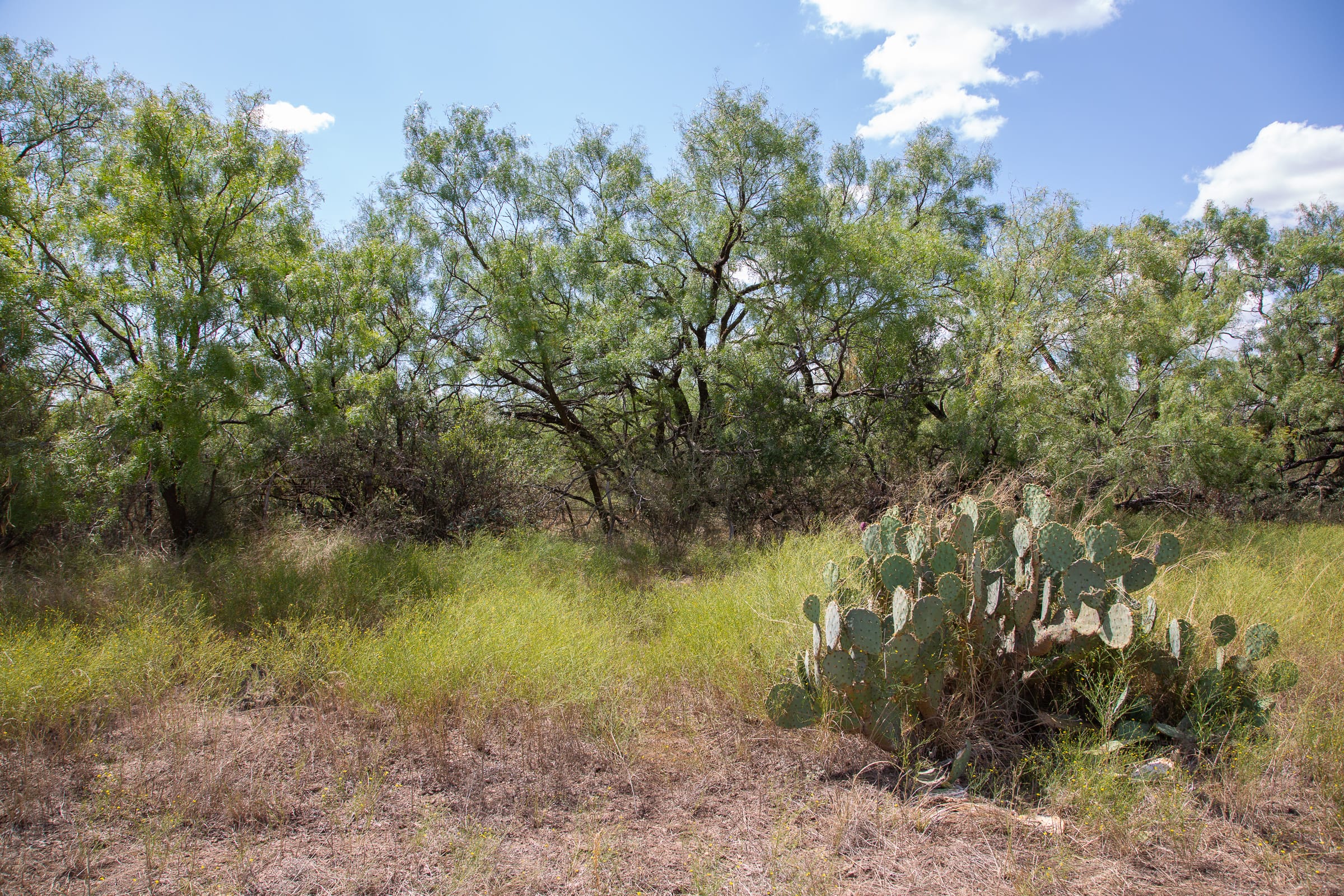 Hunter’s Ranch Tract 13 photo 10