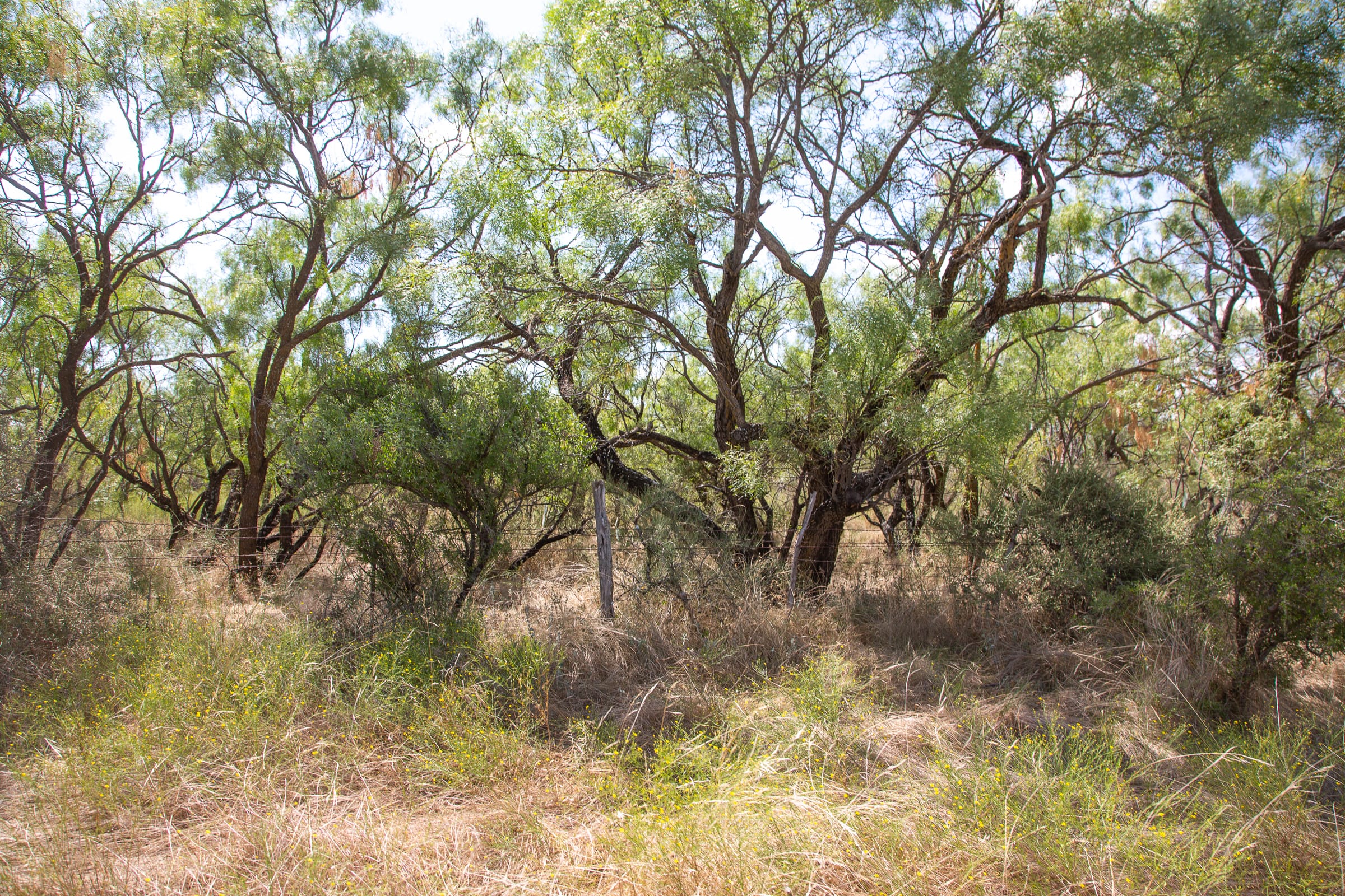Hunter’s Ranch Tract 13 photo 11