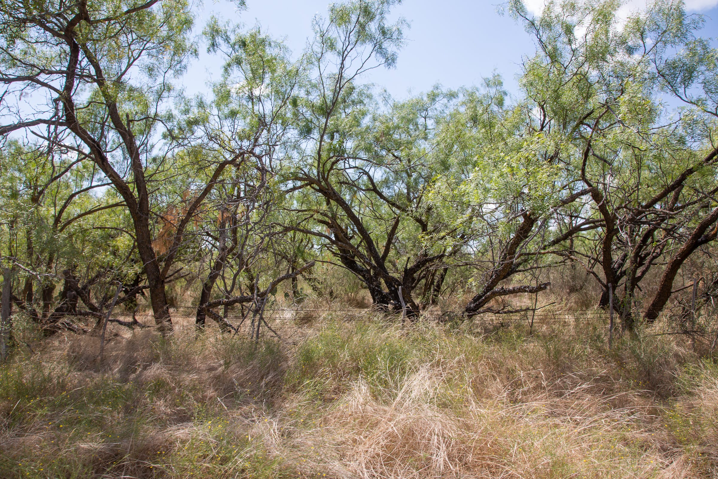 Hunter’s Ranch Tract 13 photo 12