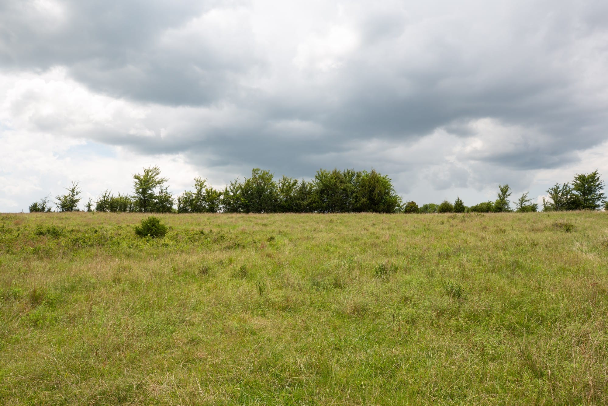 Paradise Valley Tract 18 photo 3