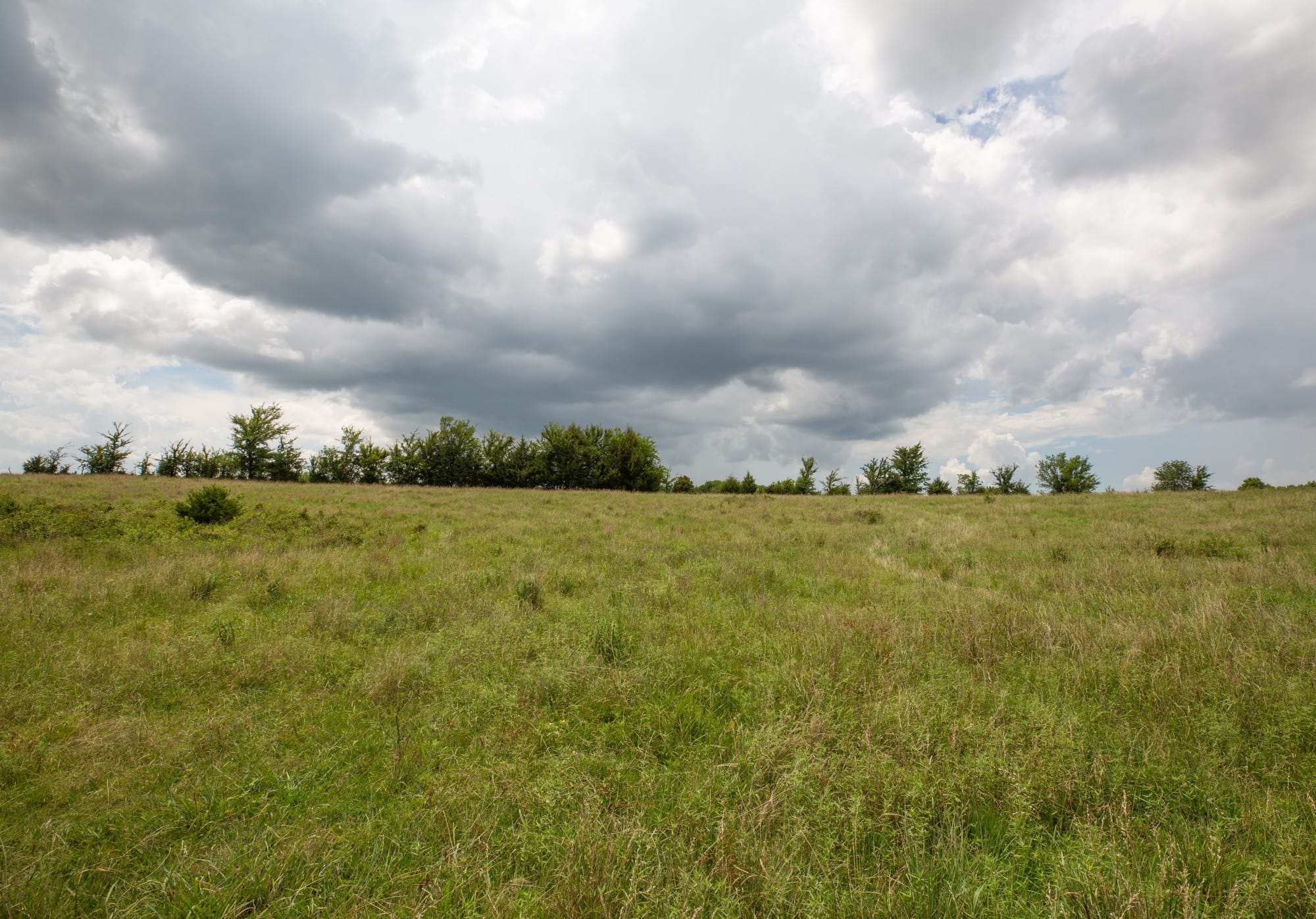 Paradise Valley Tract 18 photo 4