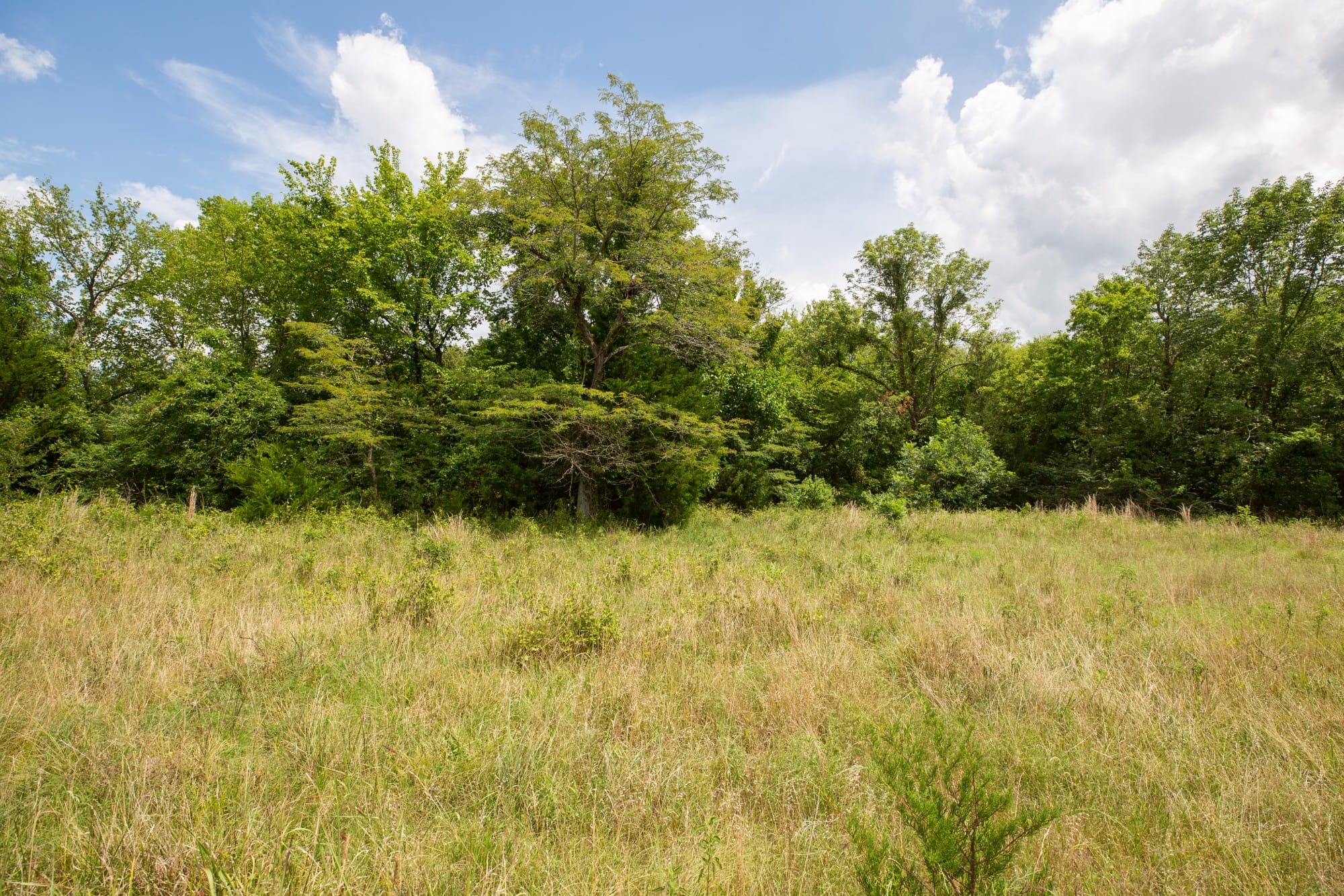 Paradise Valley Tract 18 photo 5