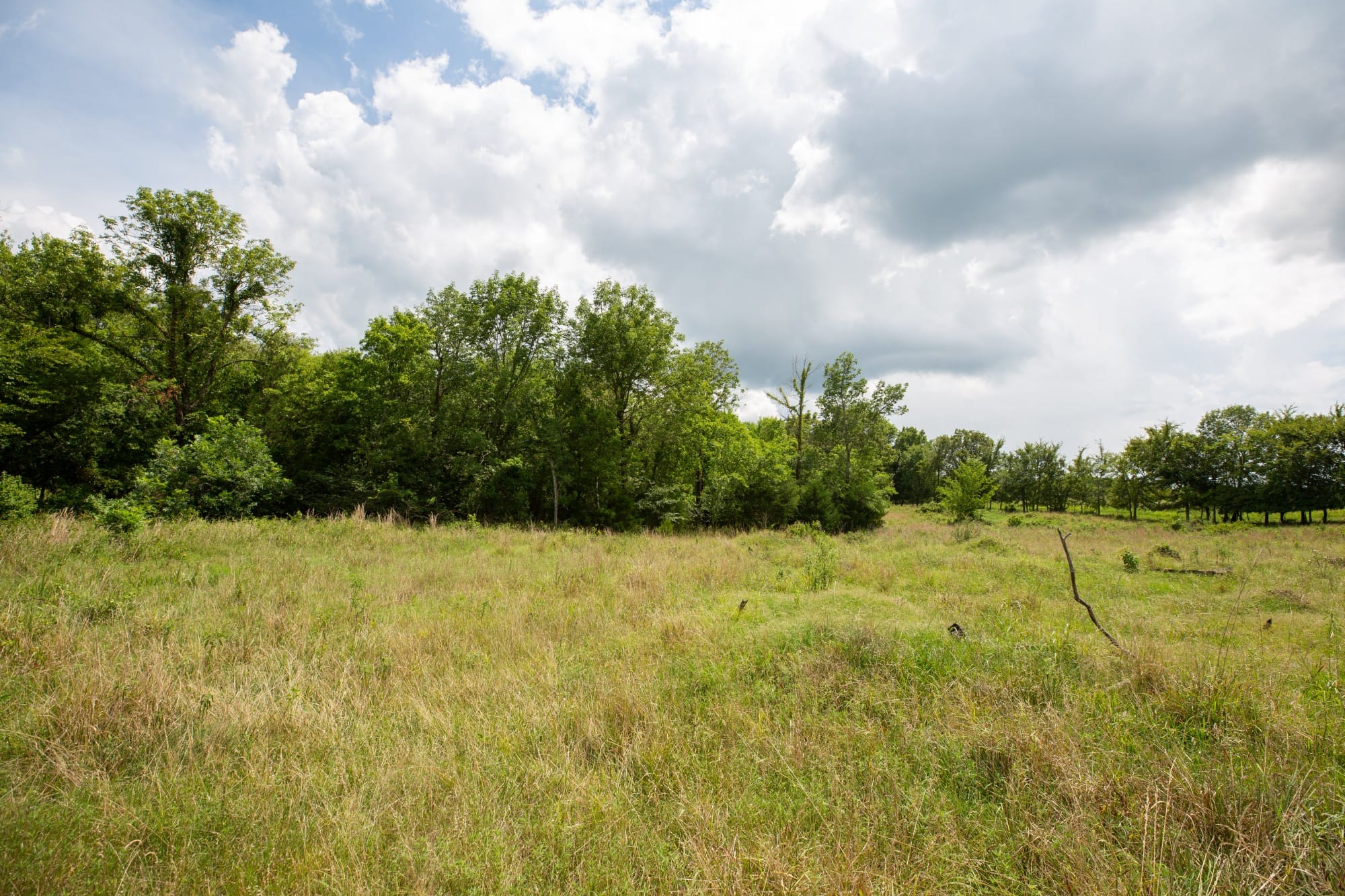 Paradise Valley Tract 18 photo 6