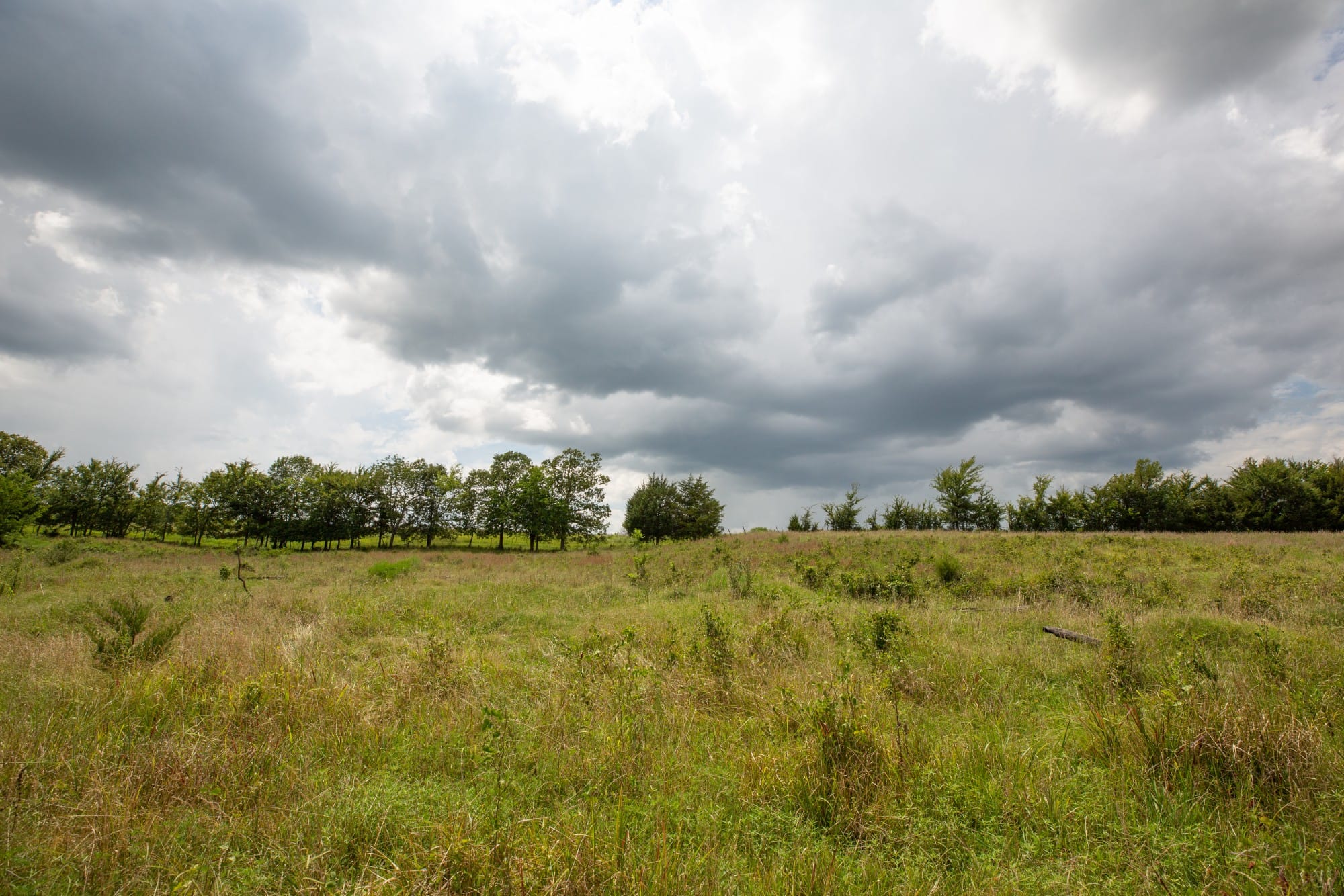 Paradise Valley Tract 18 photo 7