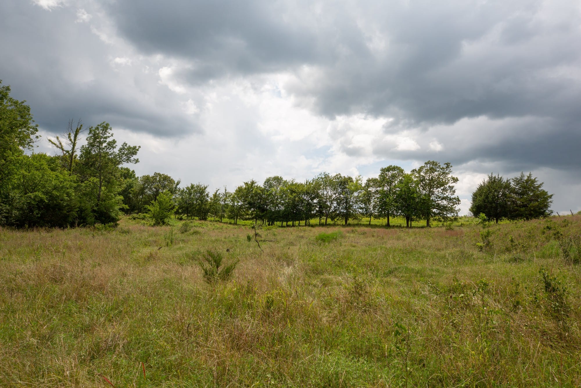 Paradise Valley Tract 18 photo 8