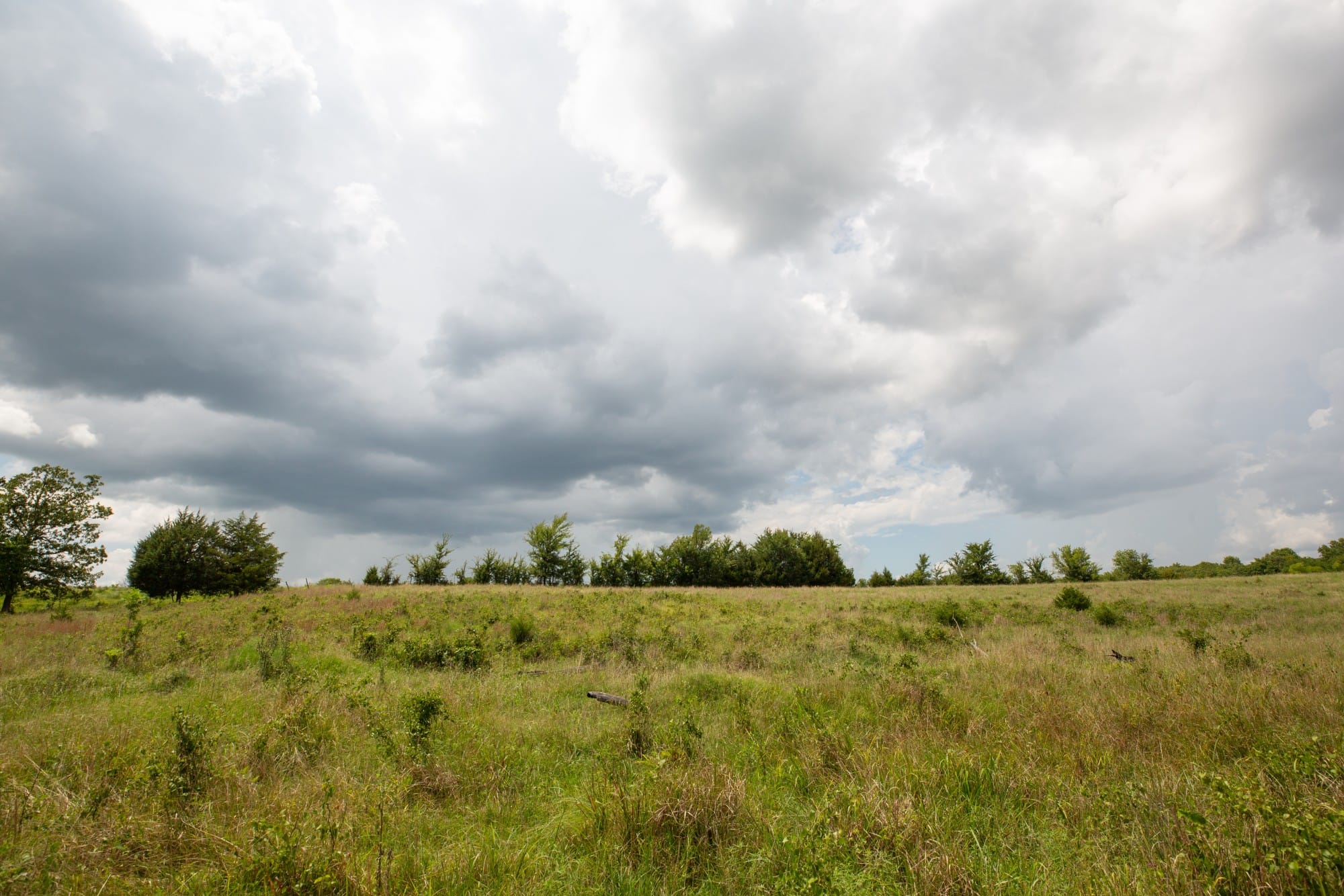 Paradise Valley Tract 18 photo 9