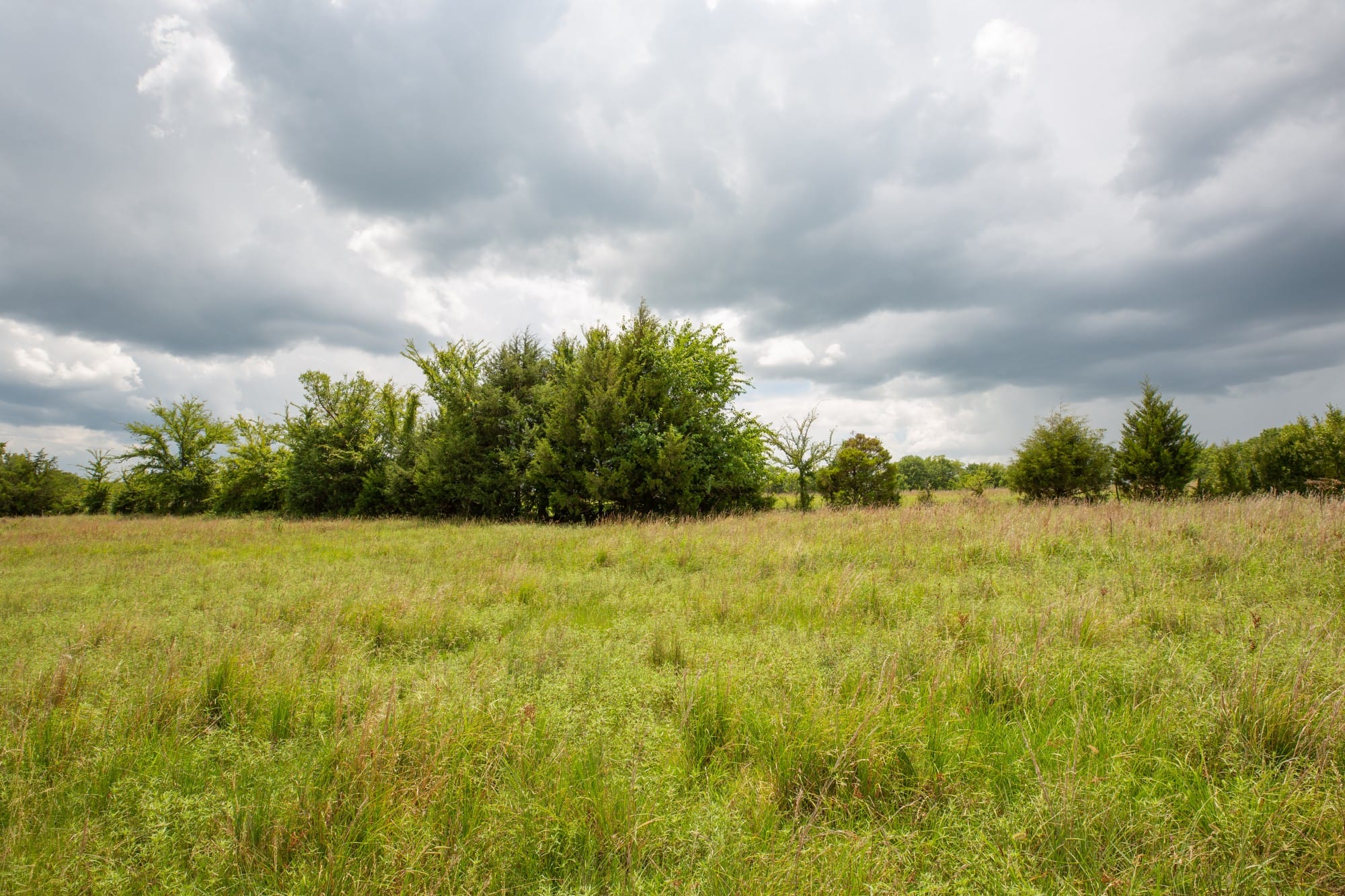 Paradise Valley Tract 18 photo 10