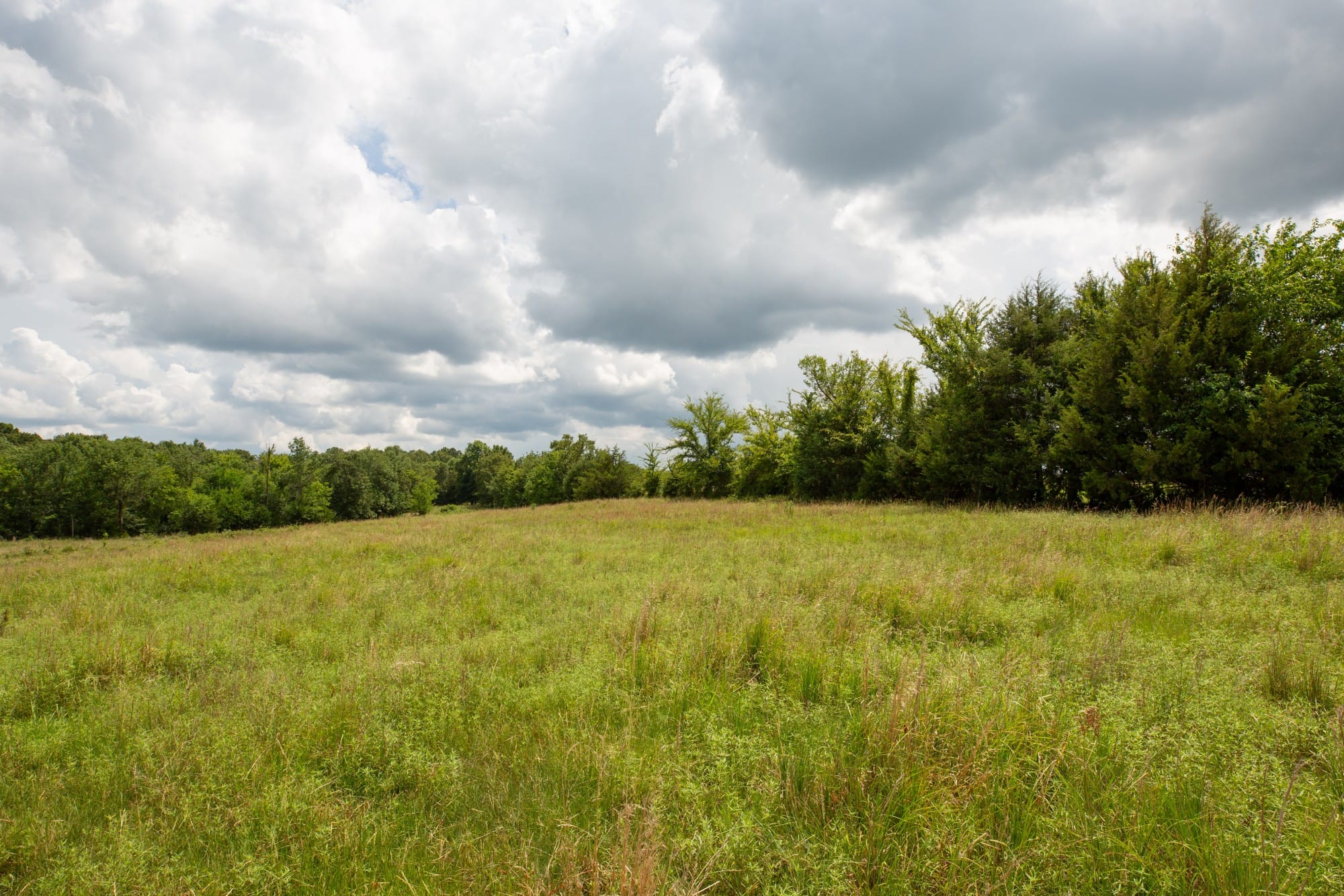 Paradise Valley Tract 18 photo 11