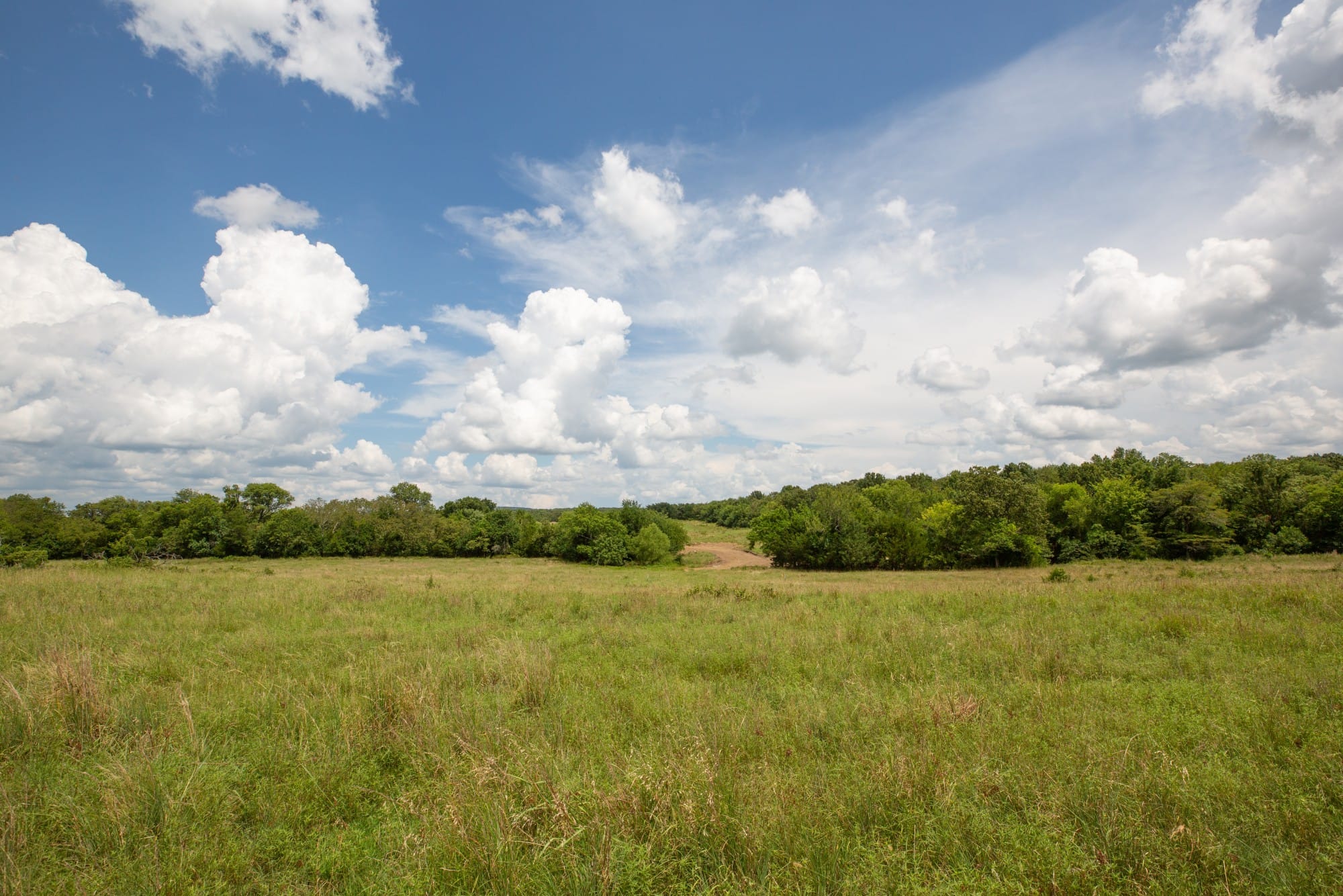 Paradise Valley Tract 18 photo 12