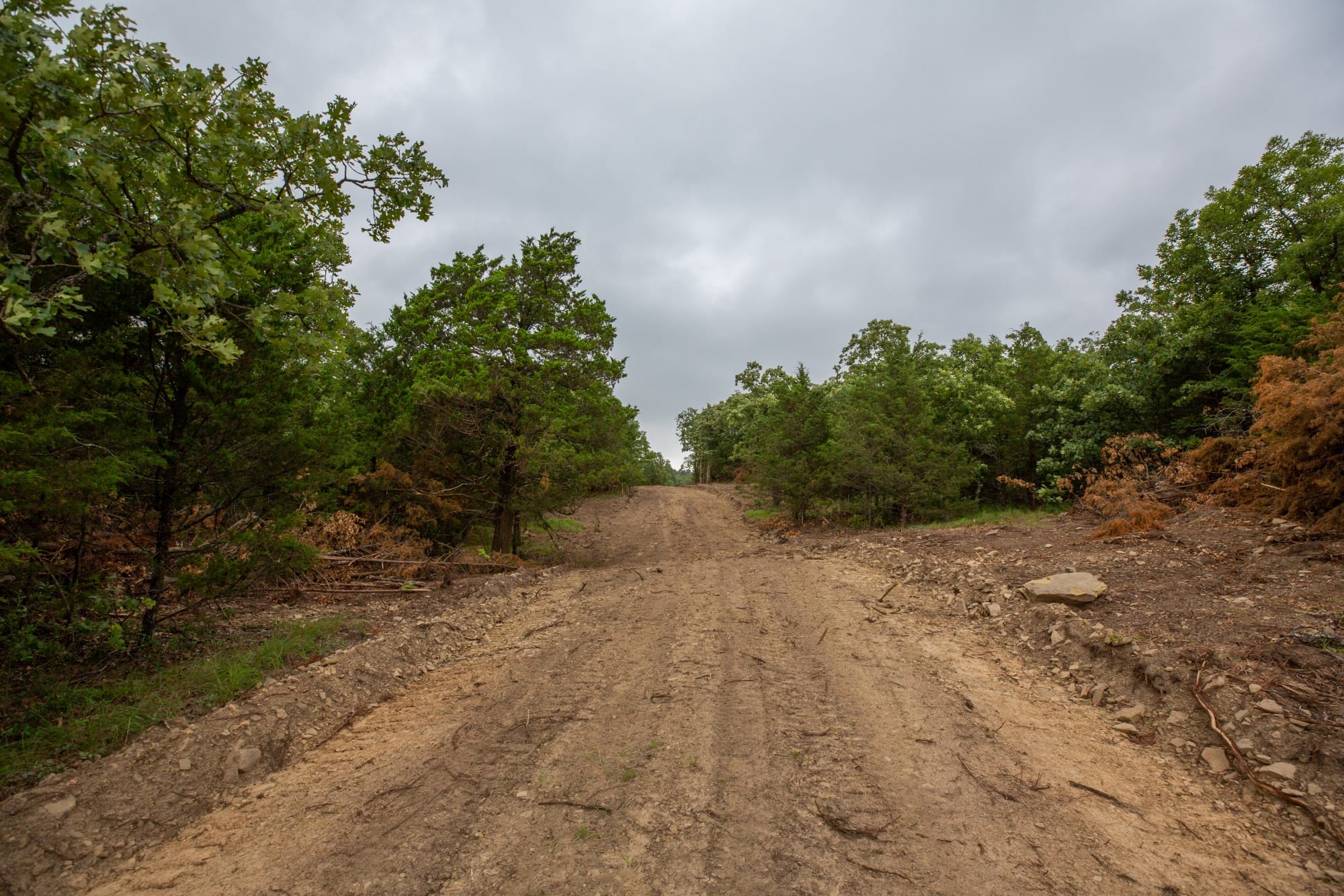 Eagle’s Nest Tract 78 photo 2