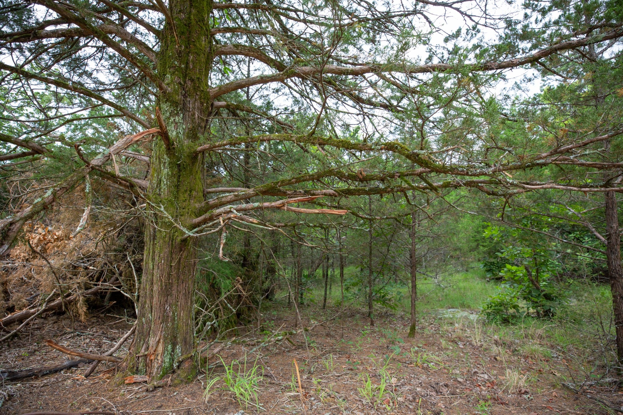 Eagle’s Nest Tract 78 photo 5