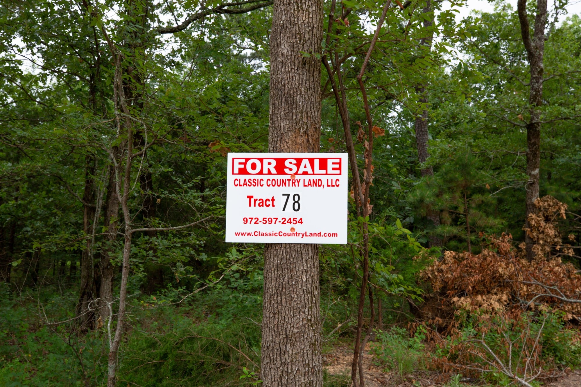 Eagle’s Nest Tract 78 photo 1