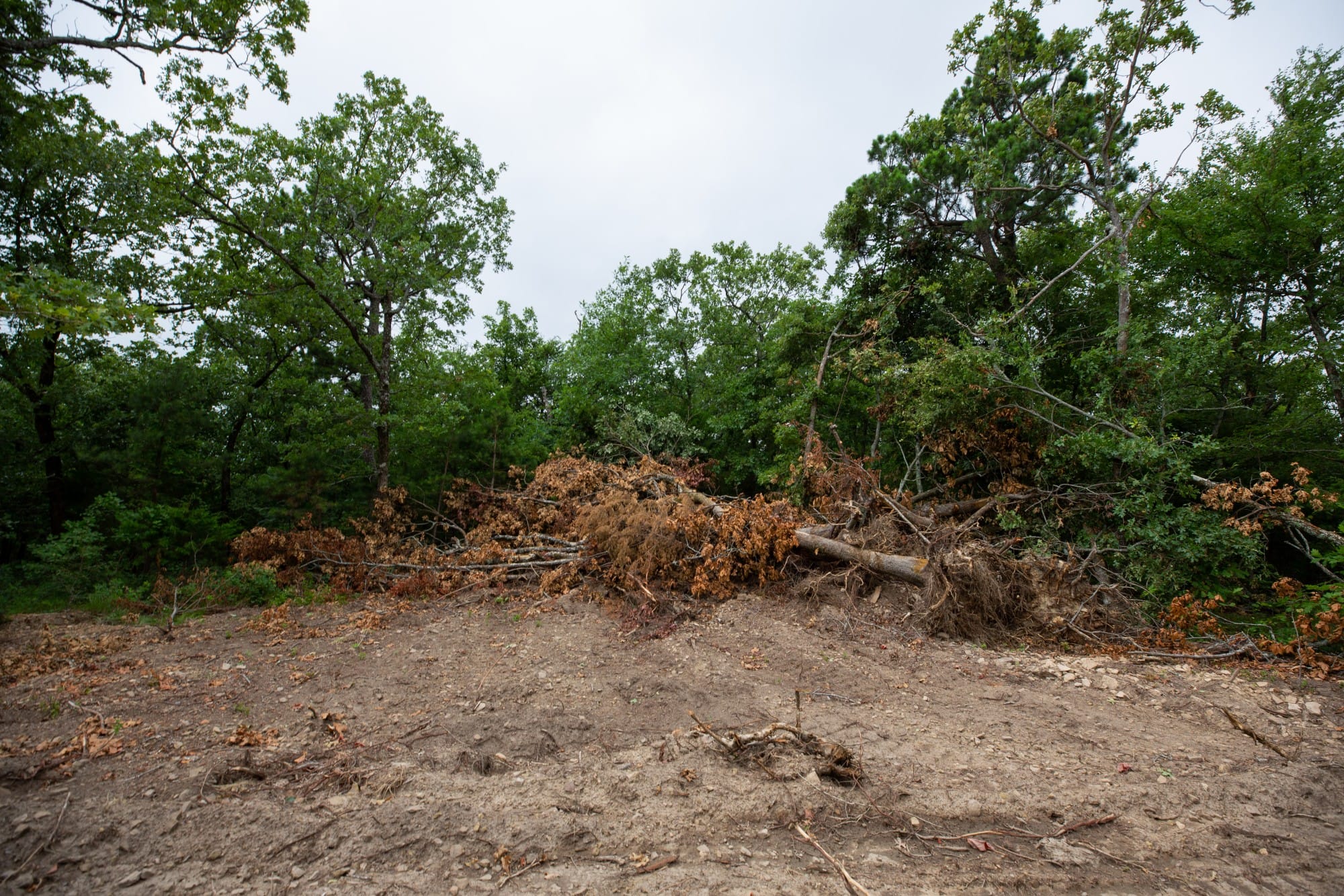 Eagle’s Nest Tract 78 photo 9