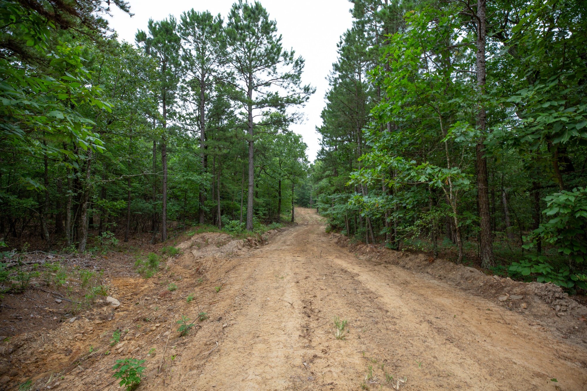 Eagle’s Nest Tract 73 photo 2