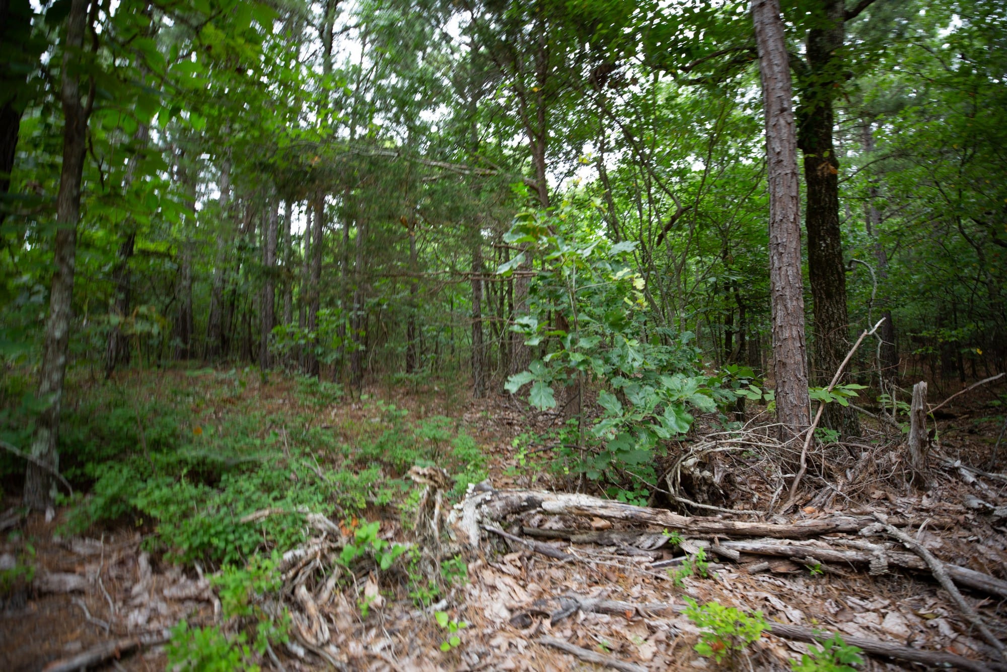 Eagle’s Nest Tract 73 photo 5