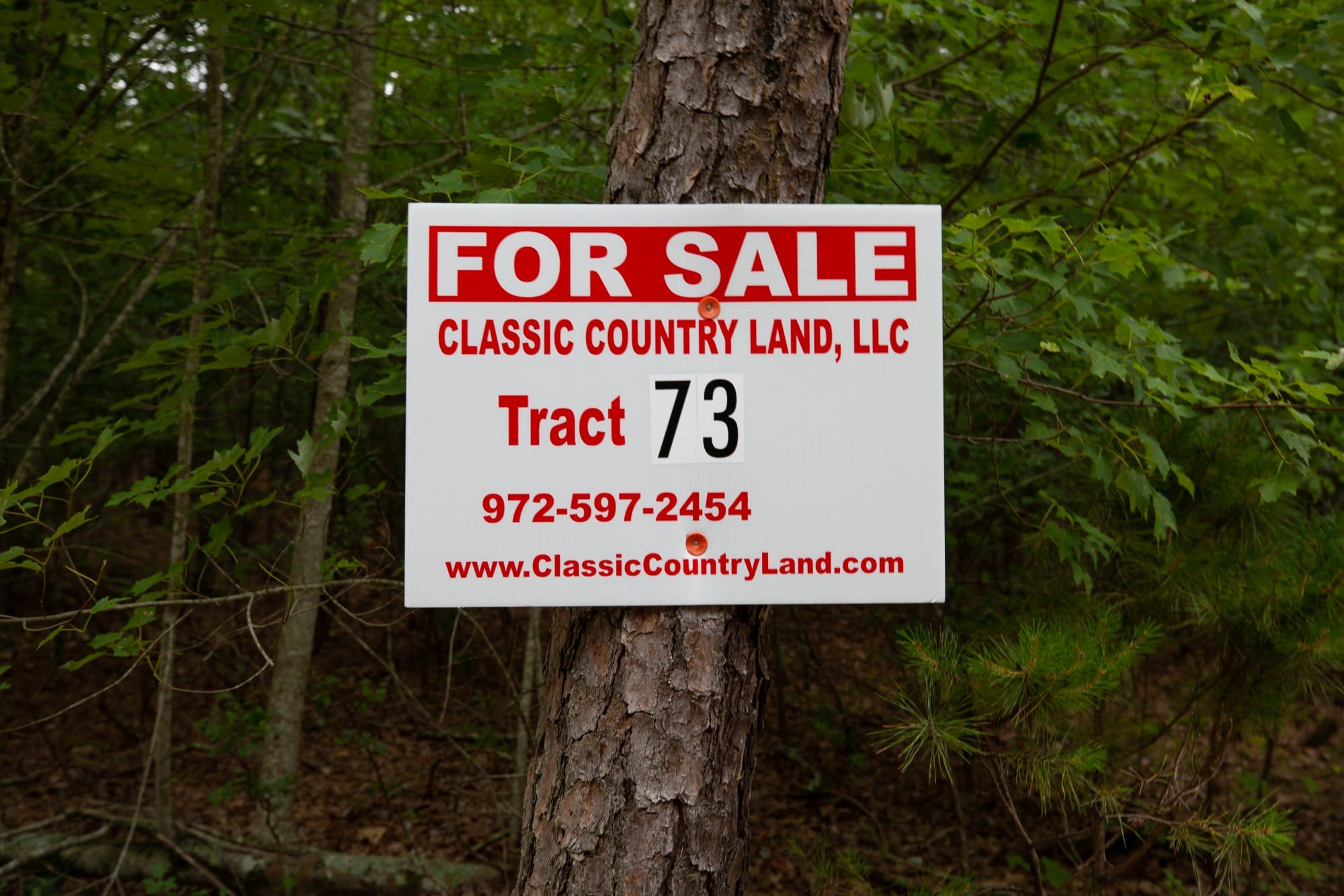 Eagle’s Nest Tract 73 photo 1