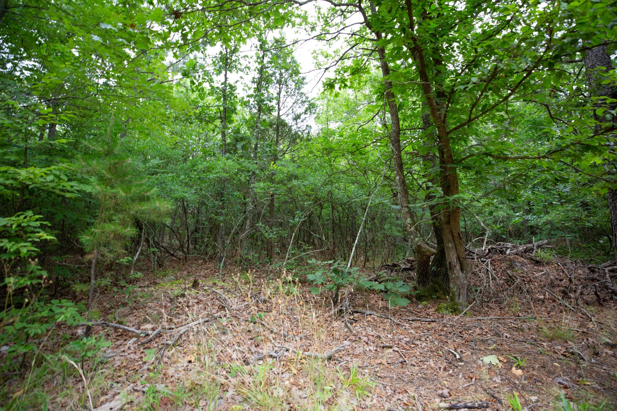 Eagle’s Nest Tract 73 photo 9
