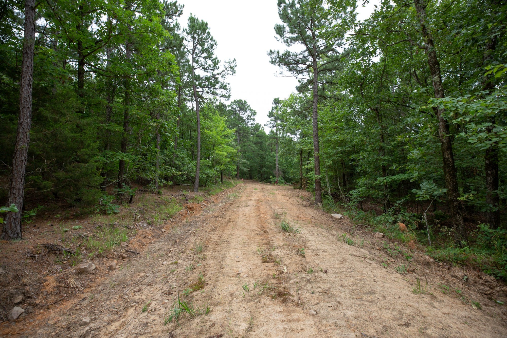 Eagle’s Nest Tract 73 photo 8
