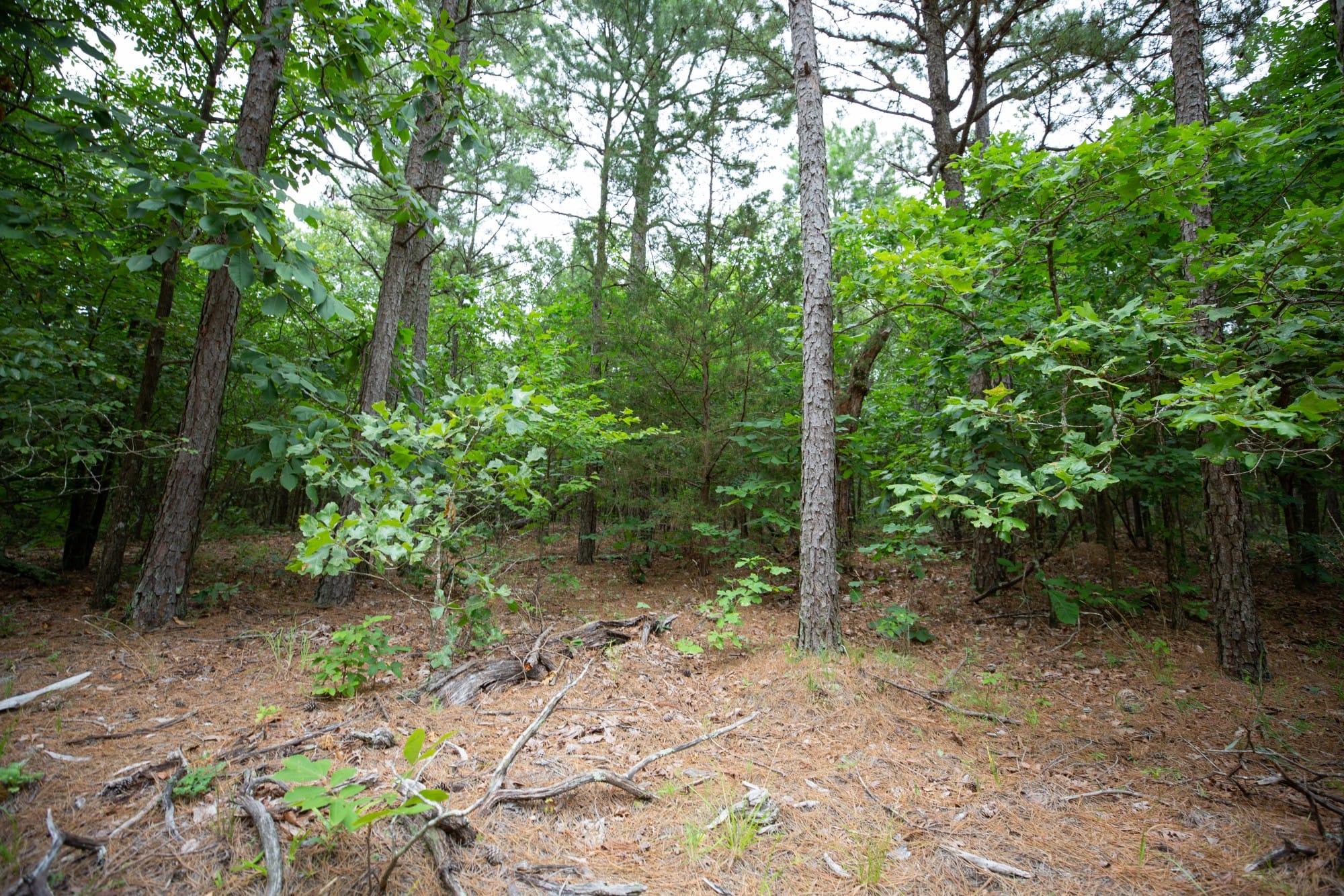 Eagle’s Nest Tract 73 photo 11