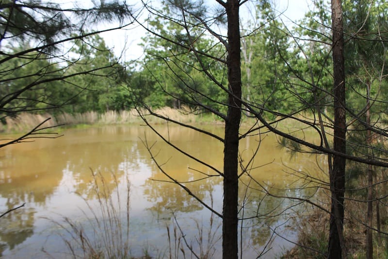 Indian Ridge – Phase II Tract 34 photo 3