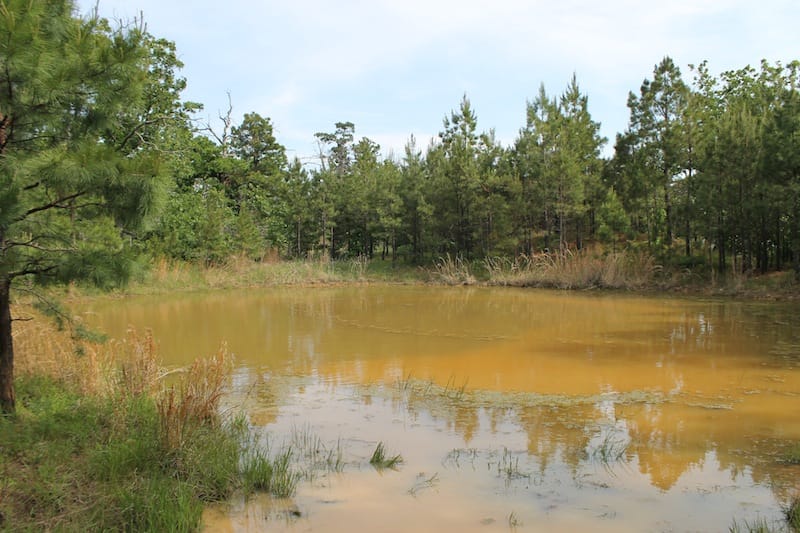 Indian Ridge – Phase II Tract 34 photo 4