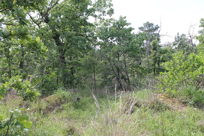 Indian Ridge – Phase II Tract 34 photo 5