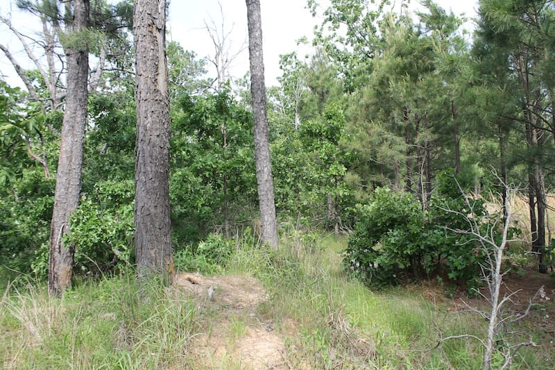 Indian Ridge – Phase II Tract 34 photo 7
