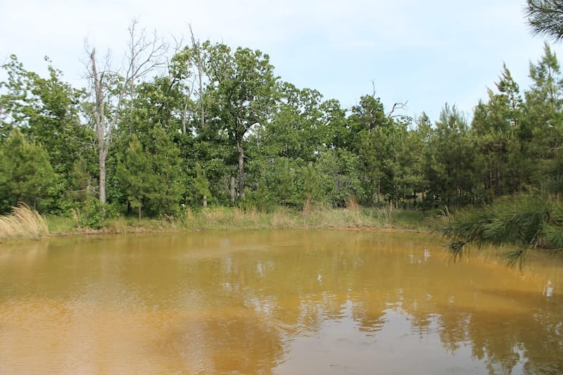 Indian Ridge – Phase II Tract 34 photo 8
