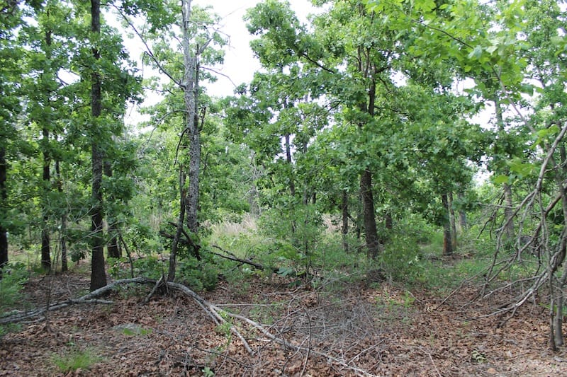 Indian Ridge – Phase II Tract 34 photo 10