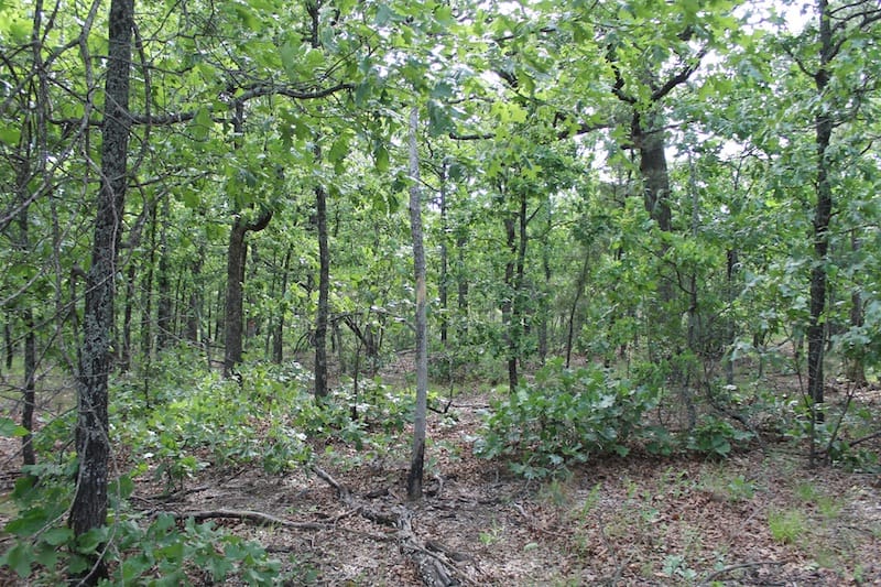 Indian Ridge – Phase II Tract 34 photo 12