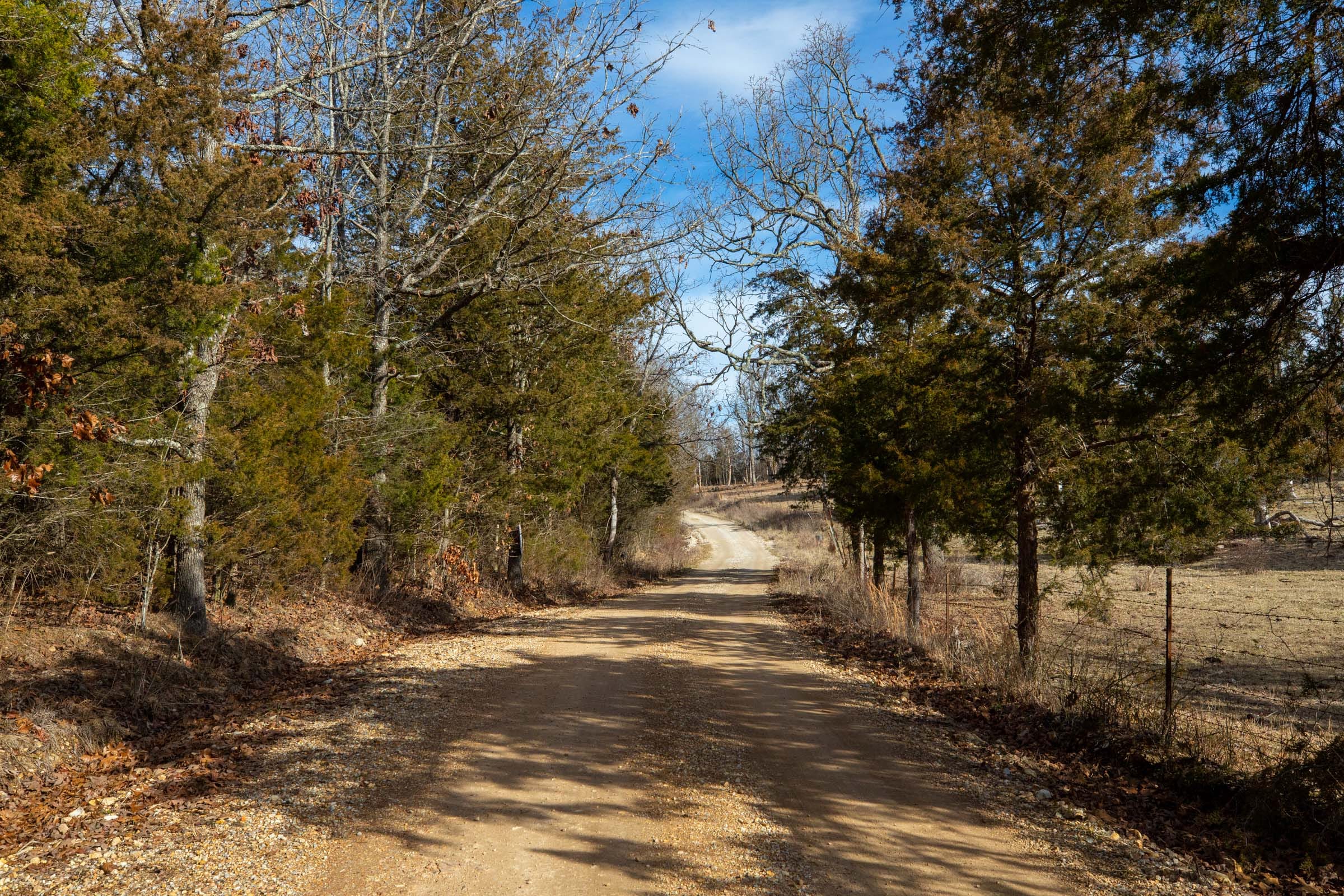 Forest Hill Tract 3 photo 1
