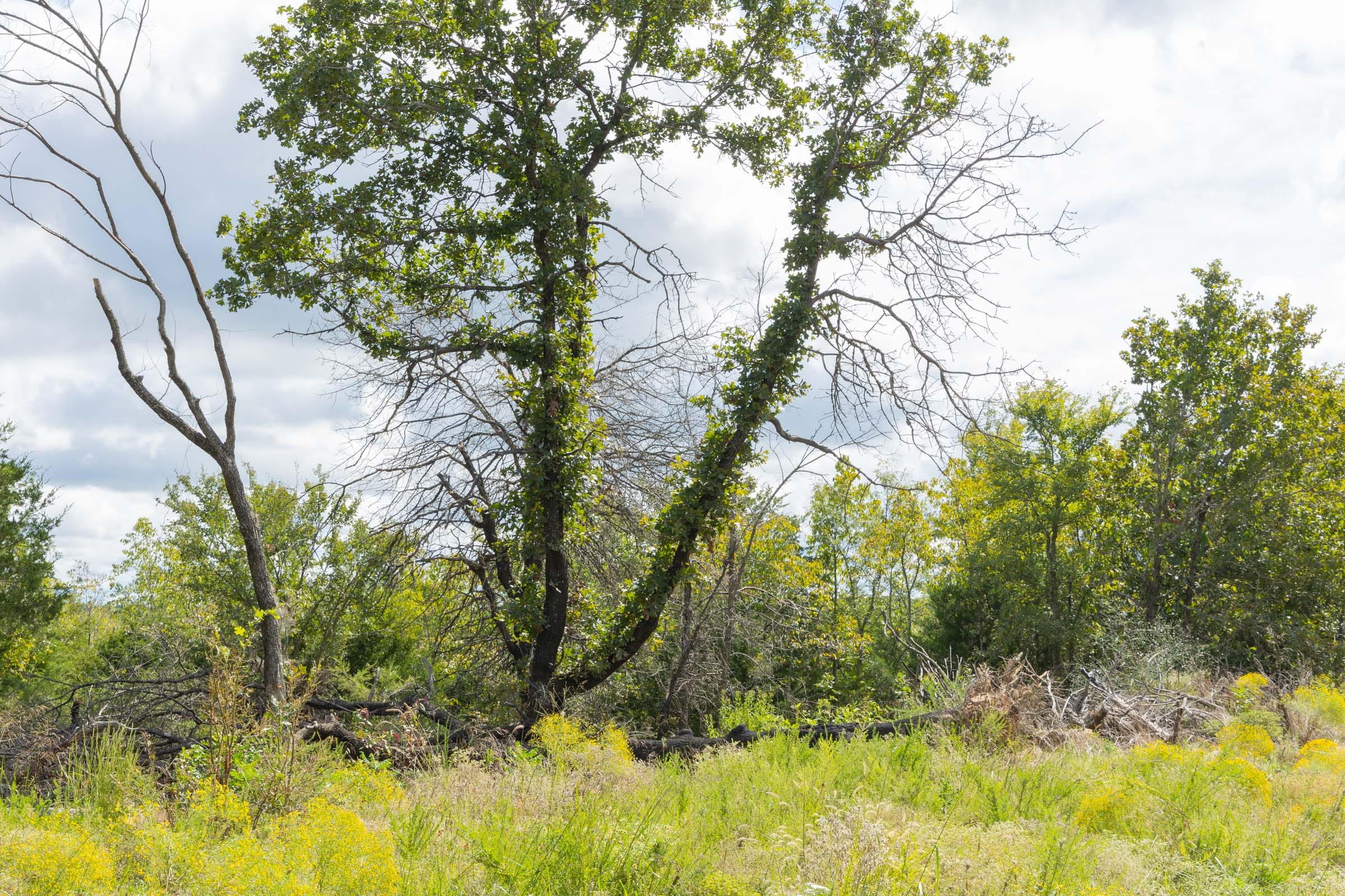 Reserves At Cattail Cove Phase II Tract 65 photo 8