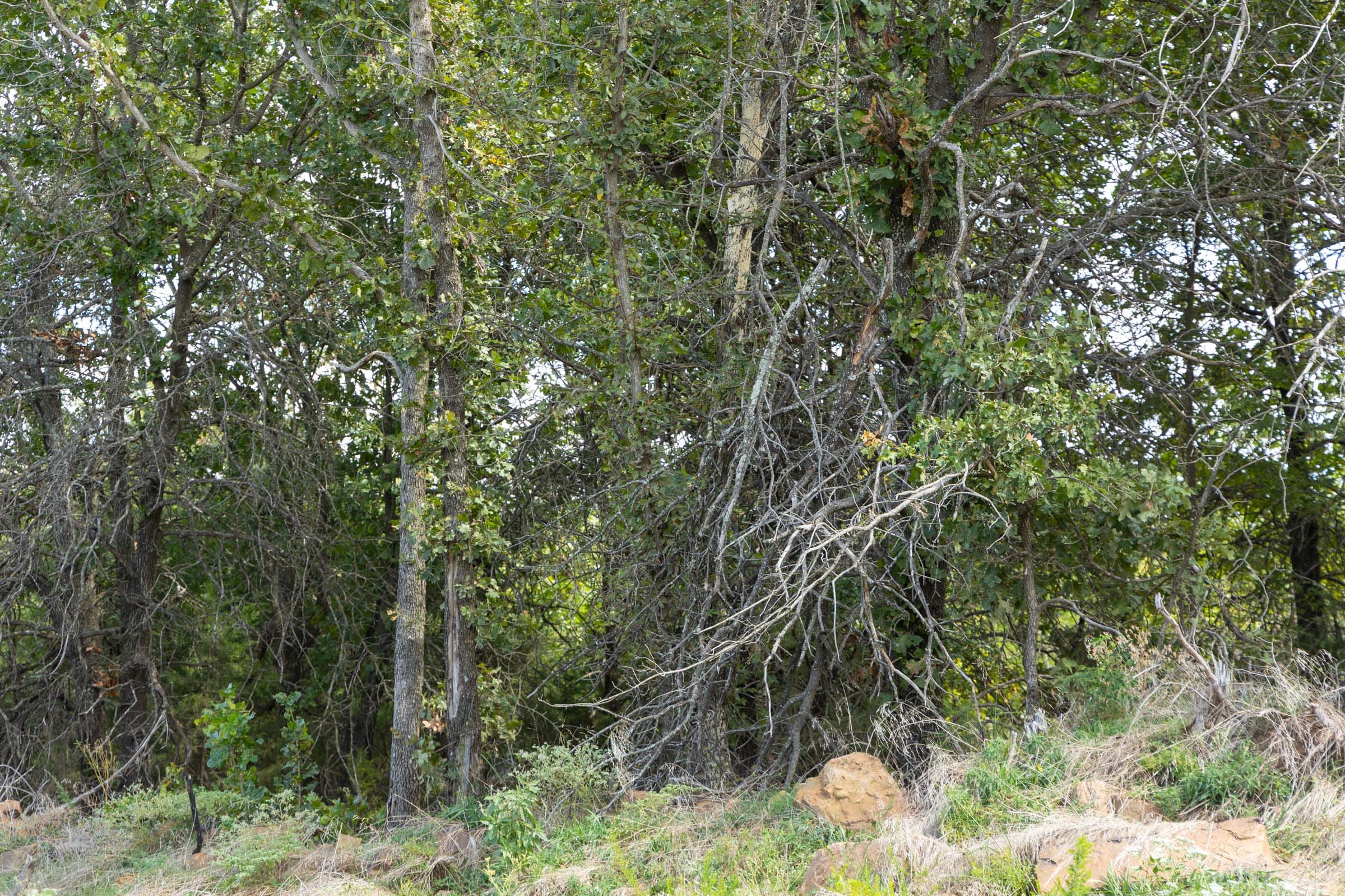 Reserves At Cattail Cove Phase II Tract 65 photo 6