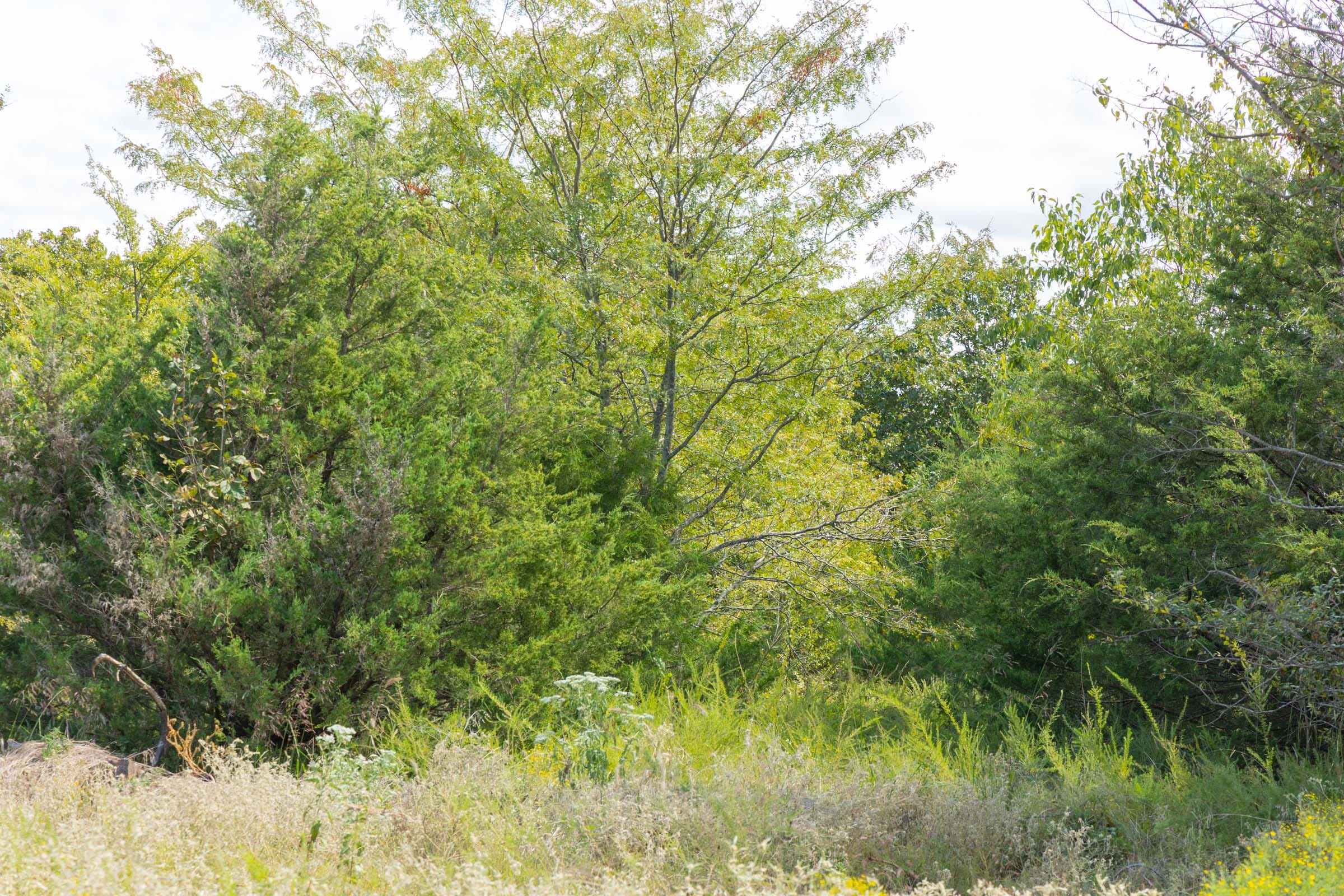 Reserves At Cattail Cove Phase II Tract 65 photo 4