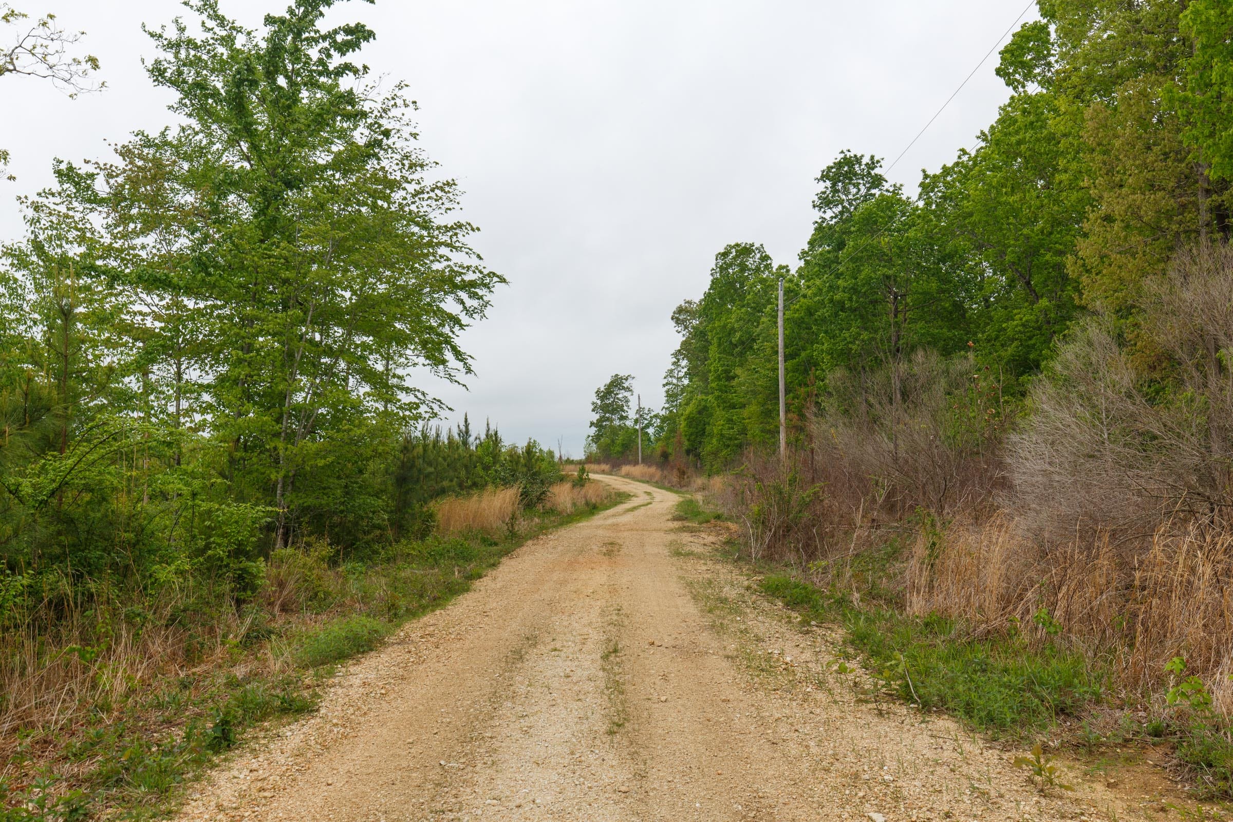 Red Barn Ranch Tract 4 photo 1