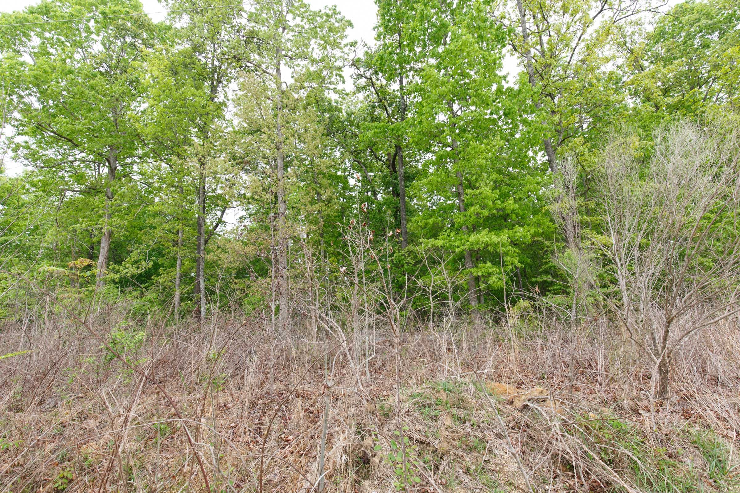 Red Barn Ranch Tract 4 photo 5