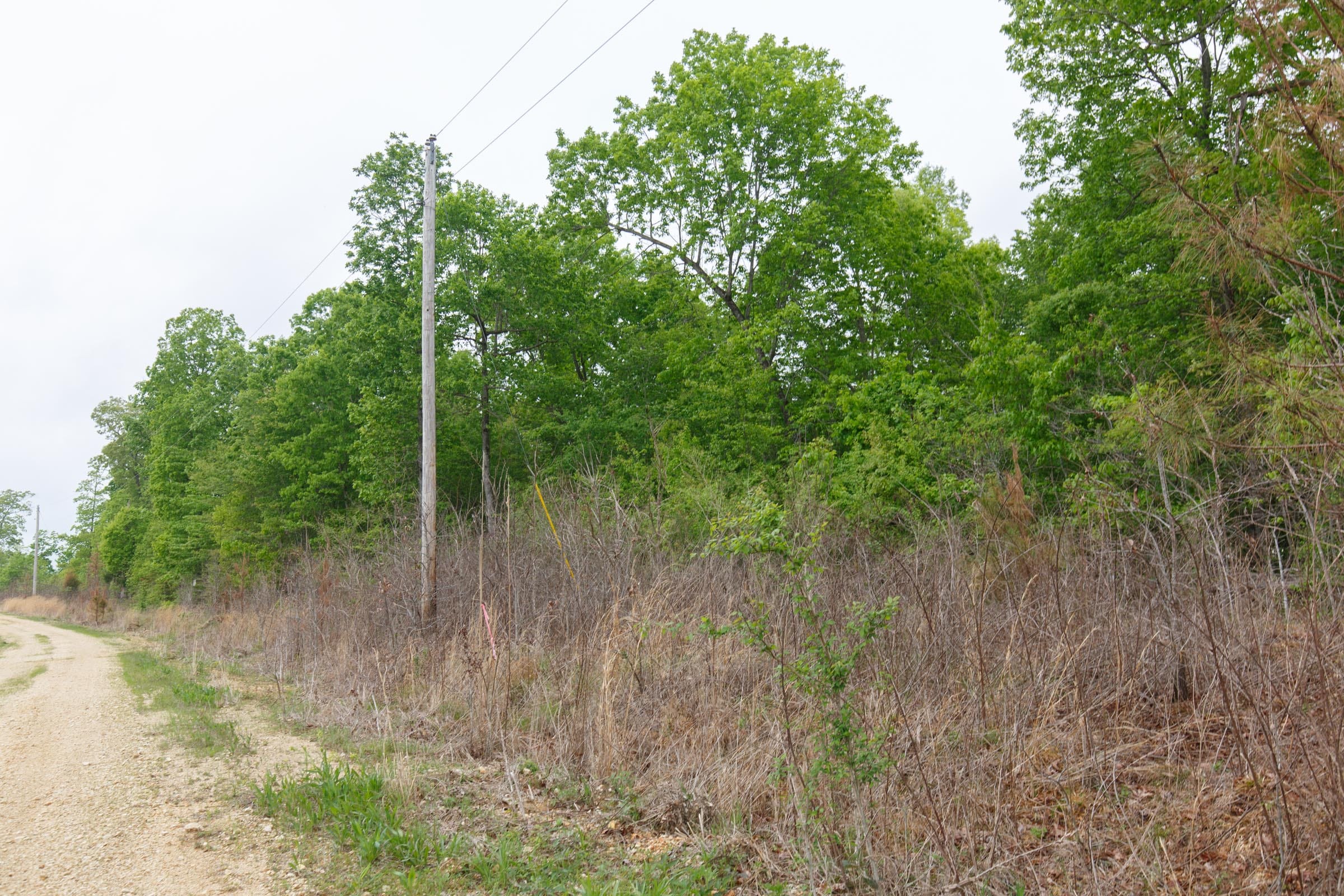 Red Barn Ranch Tract 4 photo 6
