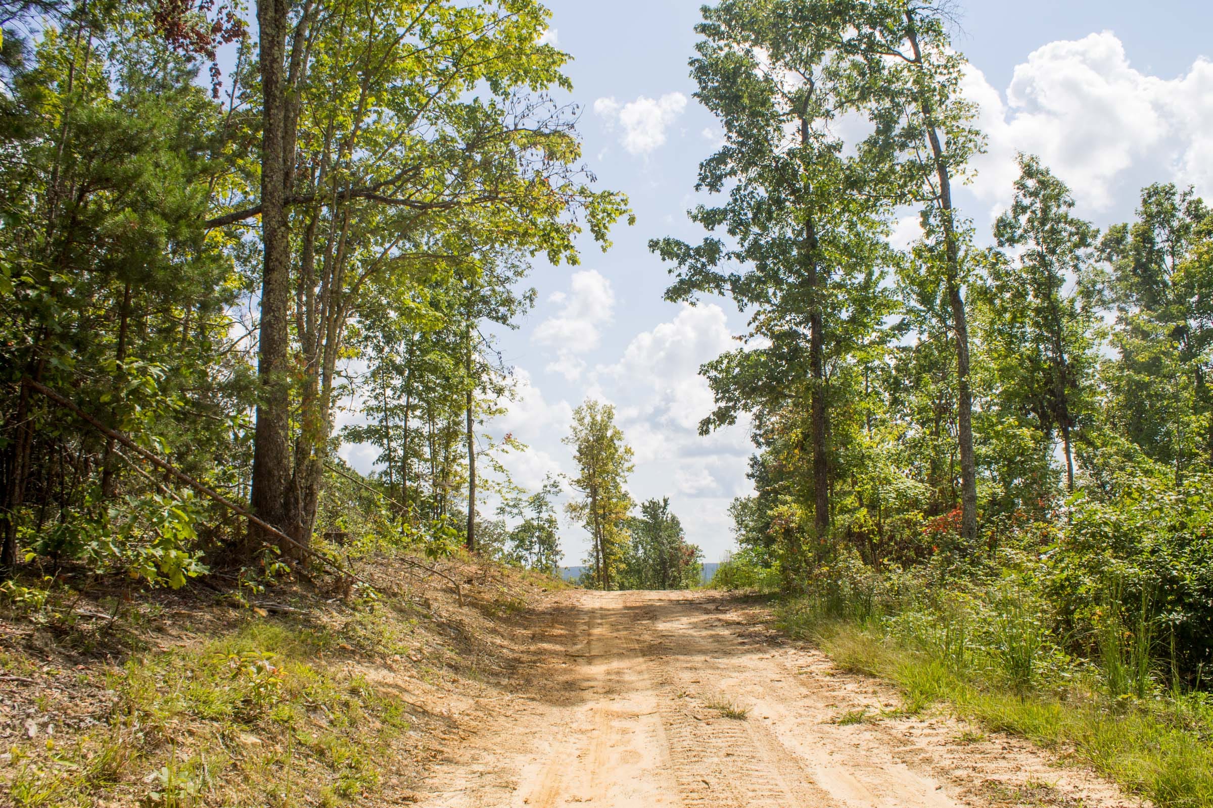 Buck Run Ridge Tract 7 photo 1