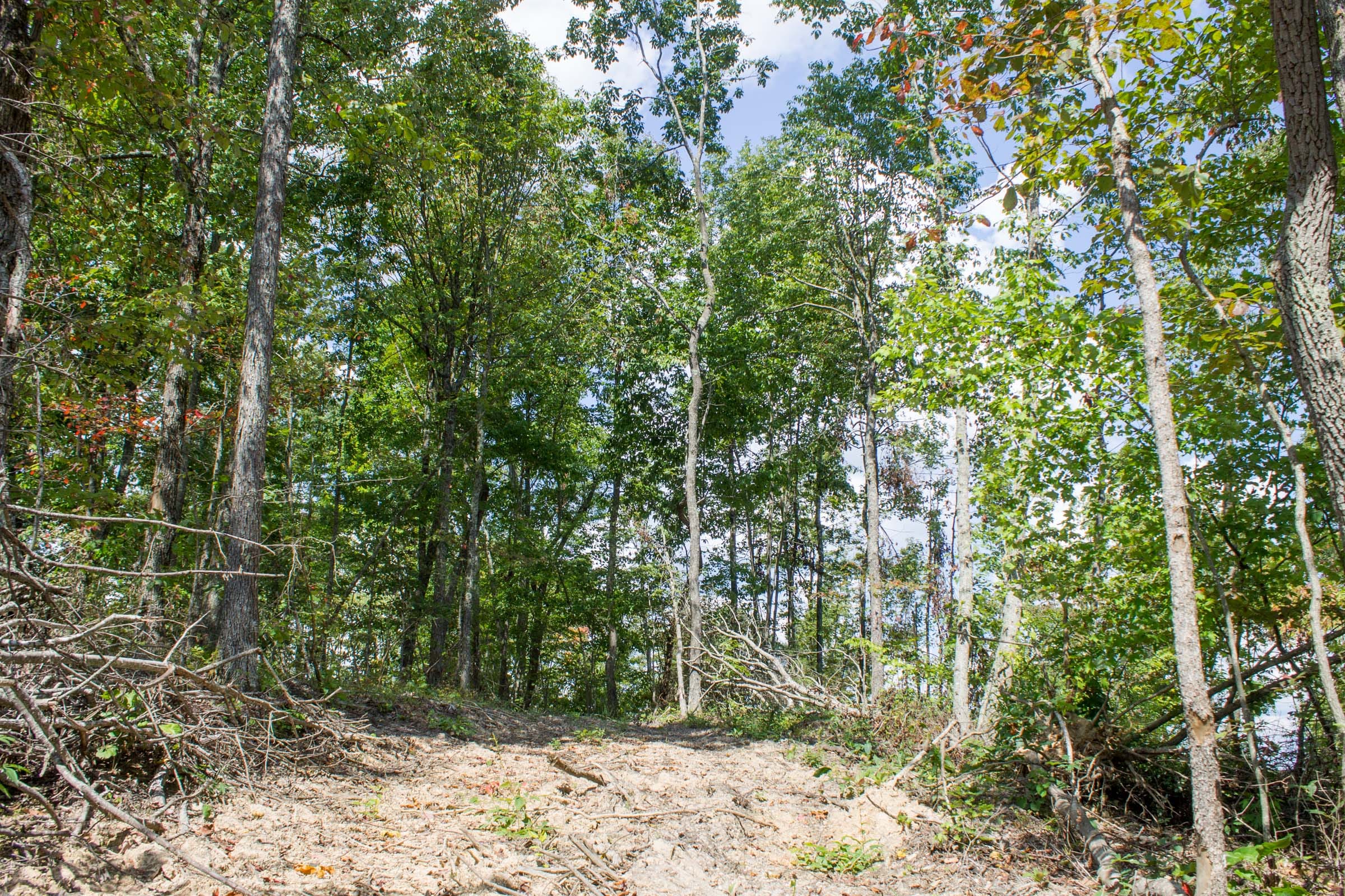 Buck Run Ridge Tract 7 photo 4