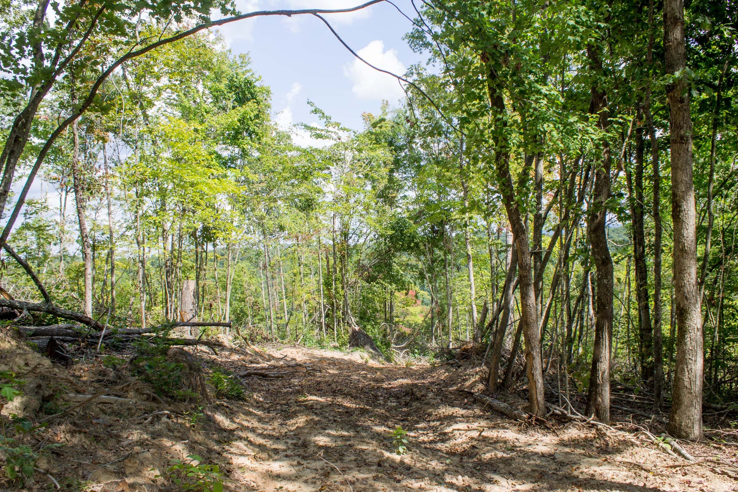 Buck Run Ridge Tract 7 photo 5