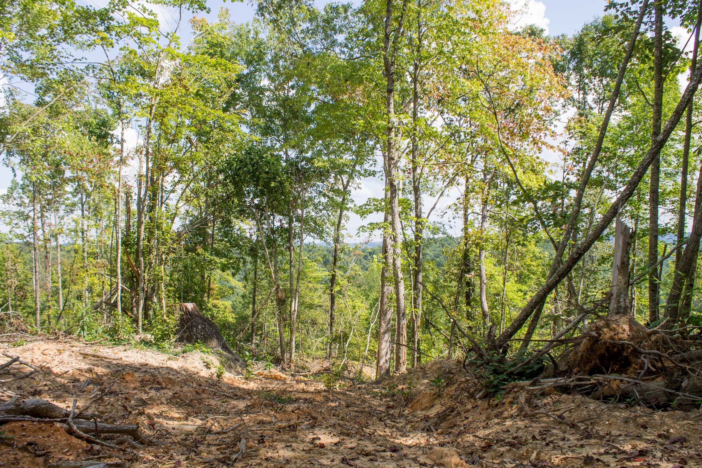 Buck Run Ridge Tract 7 photo 6
