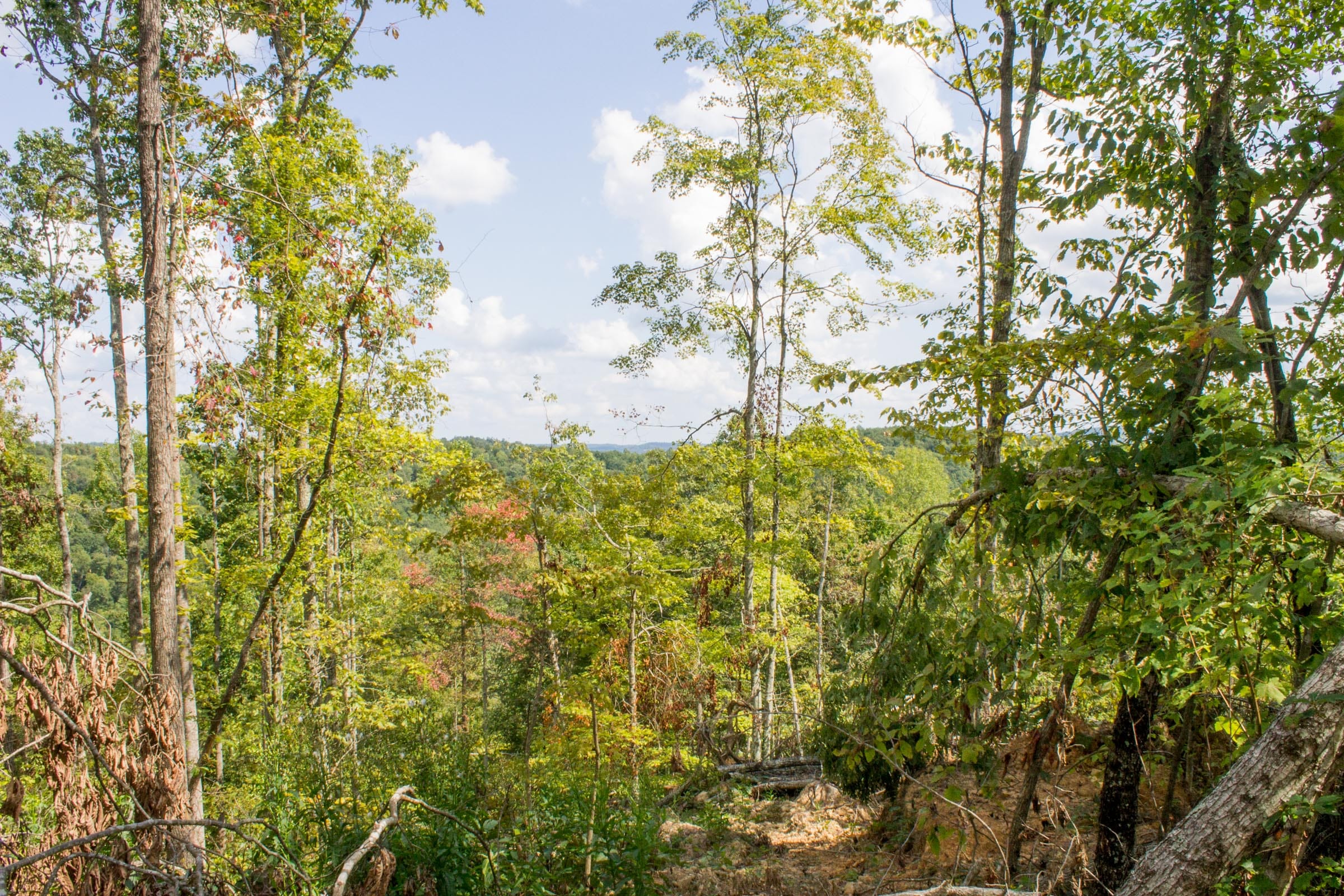 Buck Run Ridge Tract 7 photo 7